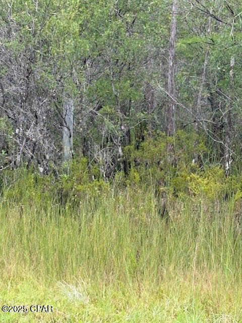 Image 32 For 4539 Miller-white Ln Road