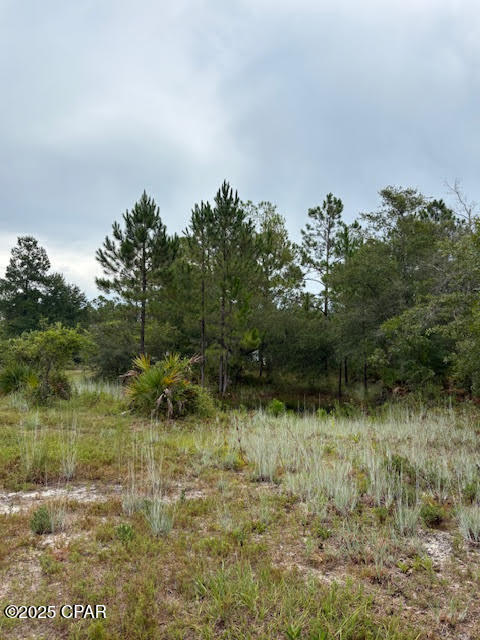 Image 35 For 4539 Miller-white Ln Road