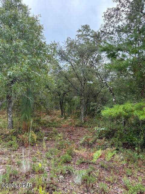 Image 36 For 4539 Miller-white Ln Road