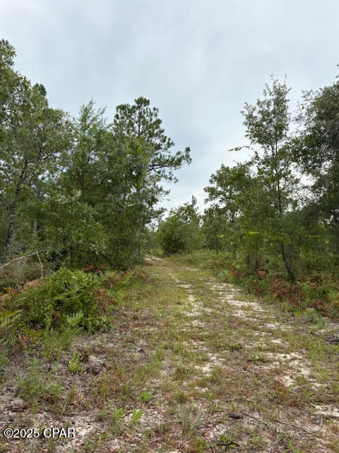 Image 37 For 4539 Miller-white Ln Road