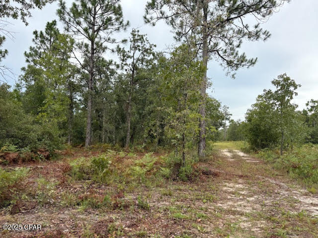 Image 38 For 4539 Miller-white Ln Road