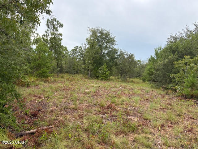 Image 41 For 4539 Miller-white Ln Road