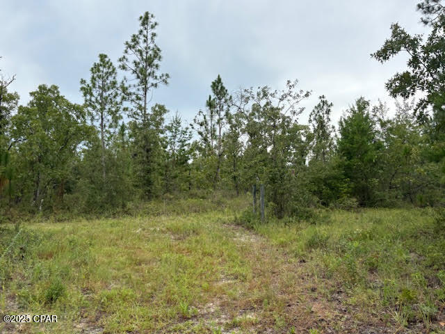 Image 42 For 4539 Miller-white Ln Road