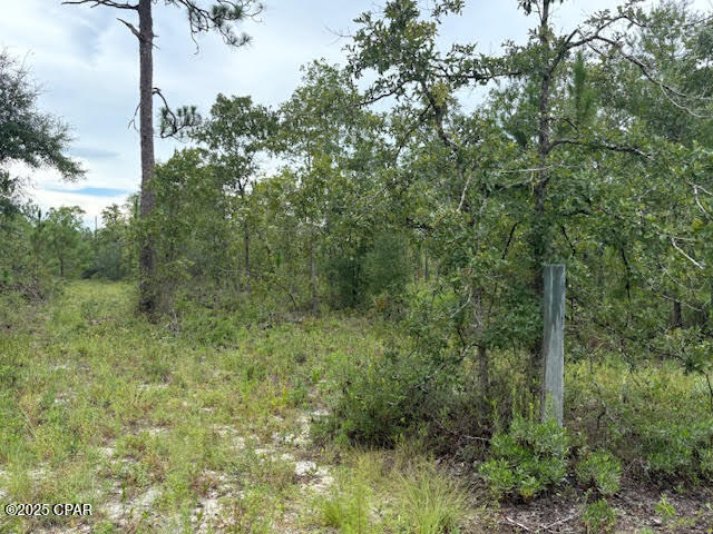 Image 44 For 4539 Miller-white Ln Road