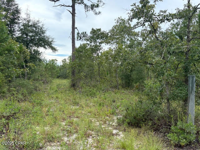 Image 45 For 4539 Miller-white Ln Road