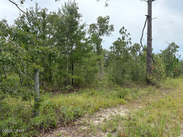 Image 46 For 4539 Miller-white Ln Road