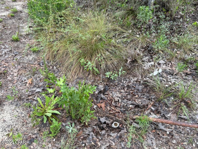 Whxinvxs3p6srsg3 9gqg_tfumallg9meubabpmc18o