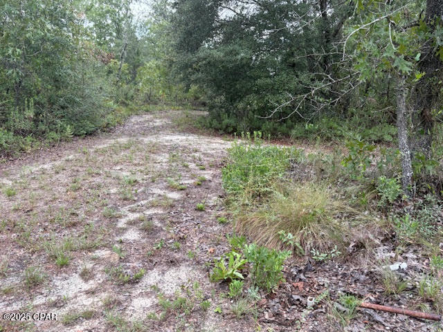 Image 50 For 4539 Miller-white Ln Road