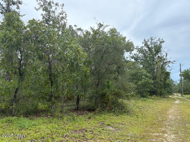 Image 51 For 4539 Miller-white Ln Road