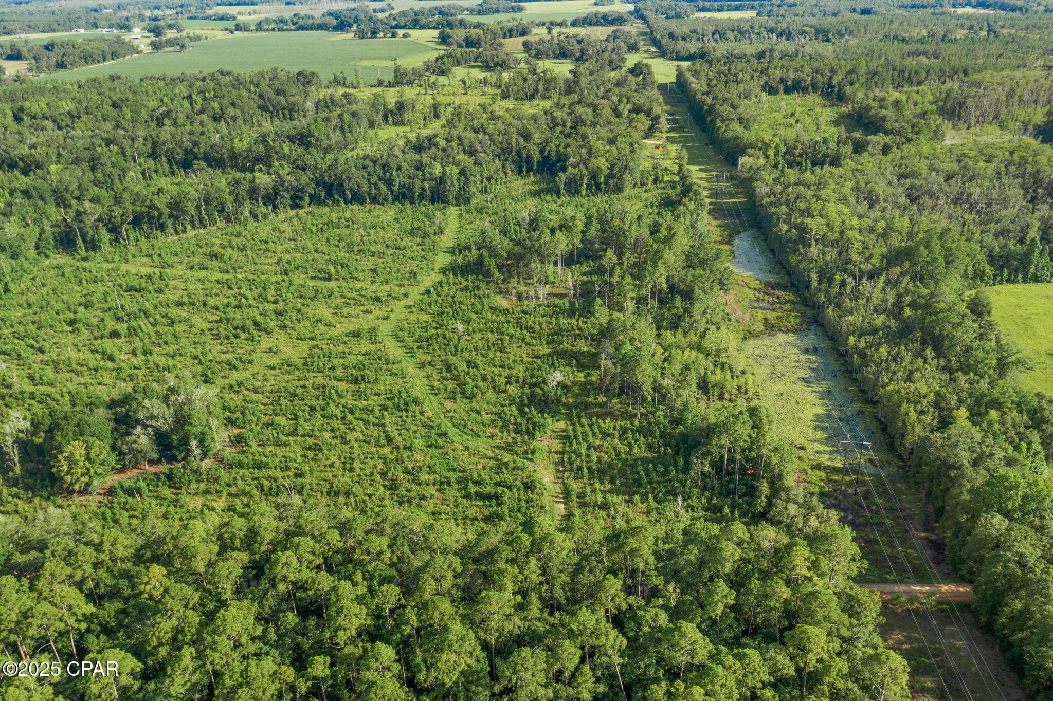 Mjf_po_8urvi1l Jvoayuoq83dbgapkunlfkpnecnyk