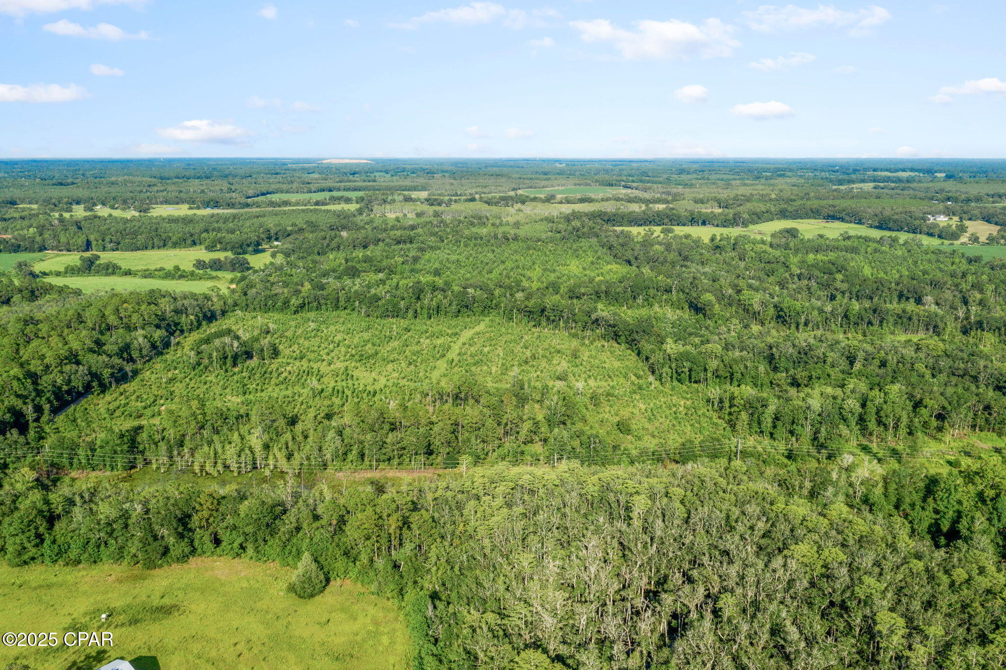 Feruvan8_y_iin1yyzrdmc6rgv2uzv0 Pvis6mqlaye