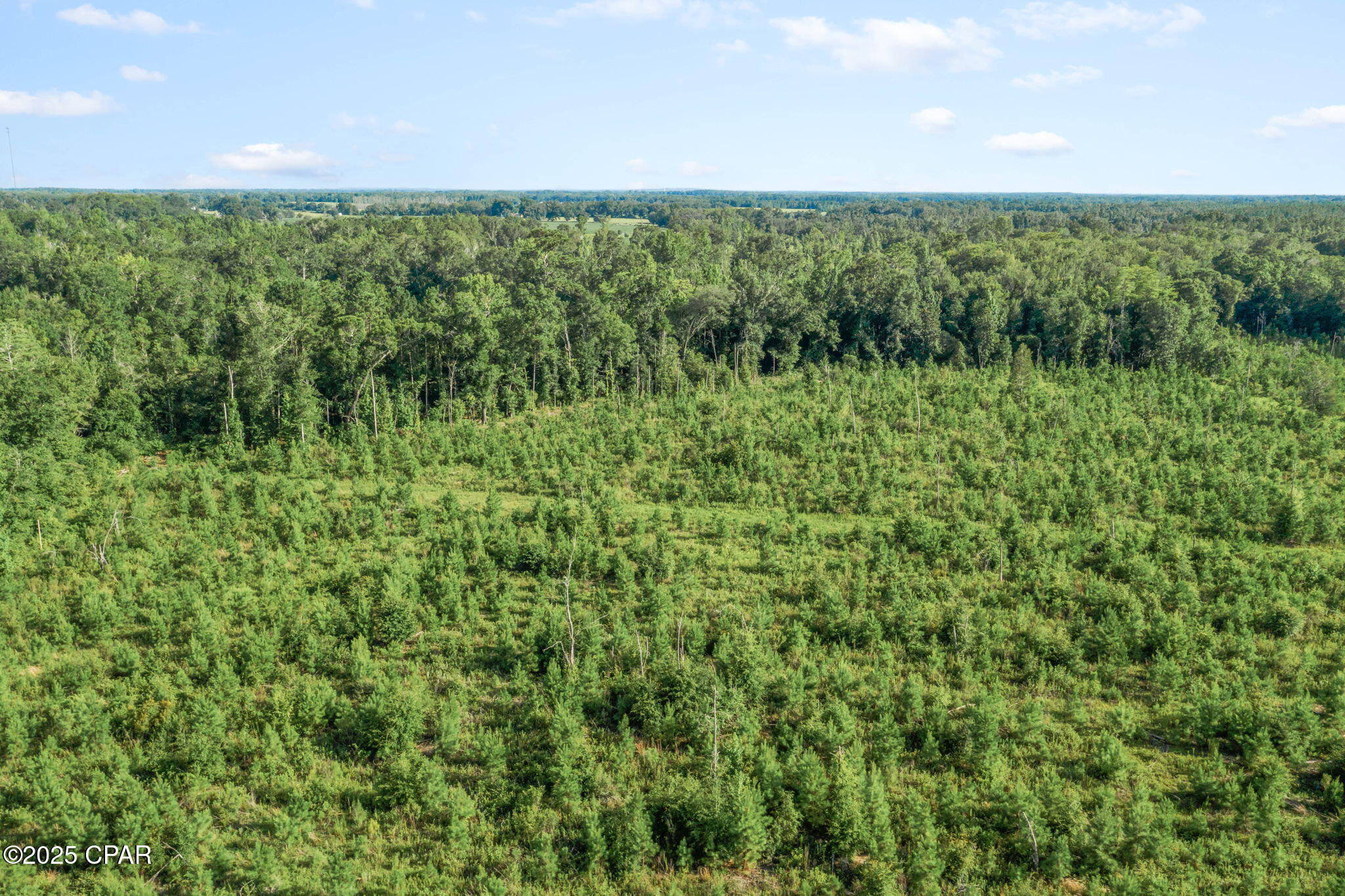 Ny3k60et1latc80qzulpuaow8n5wpdyqovzgcpdeeja