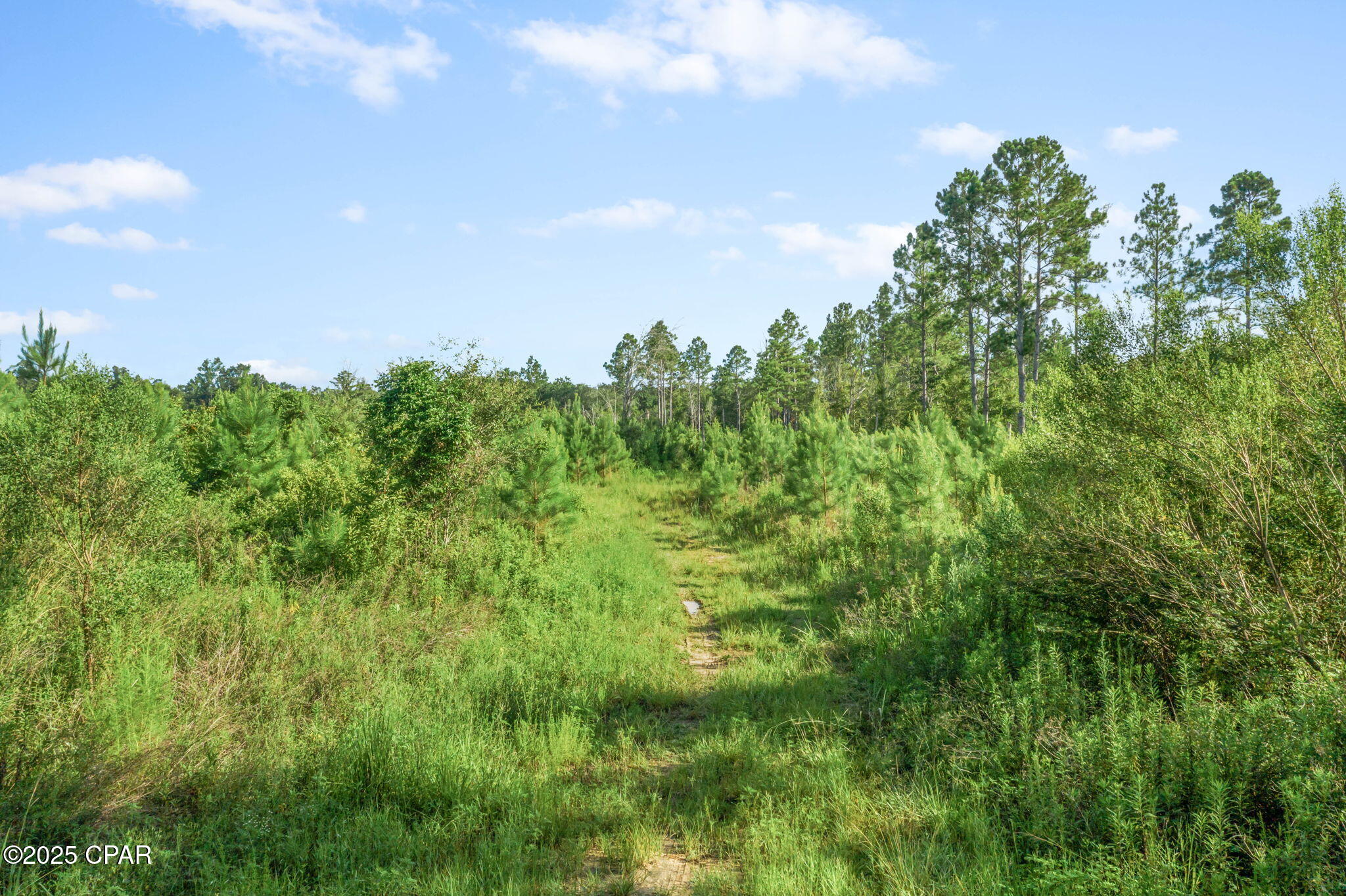 5uxprwagc2kvx_yjpt2 Aonok5entn5f4bkdc2fpdqo