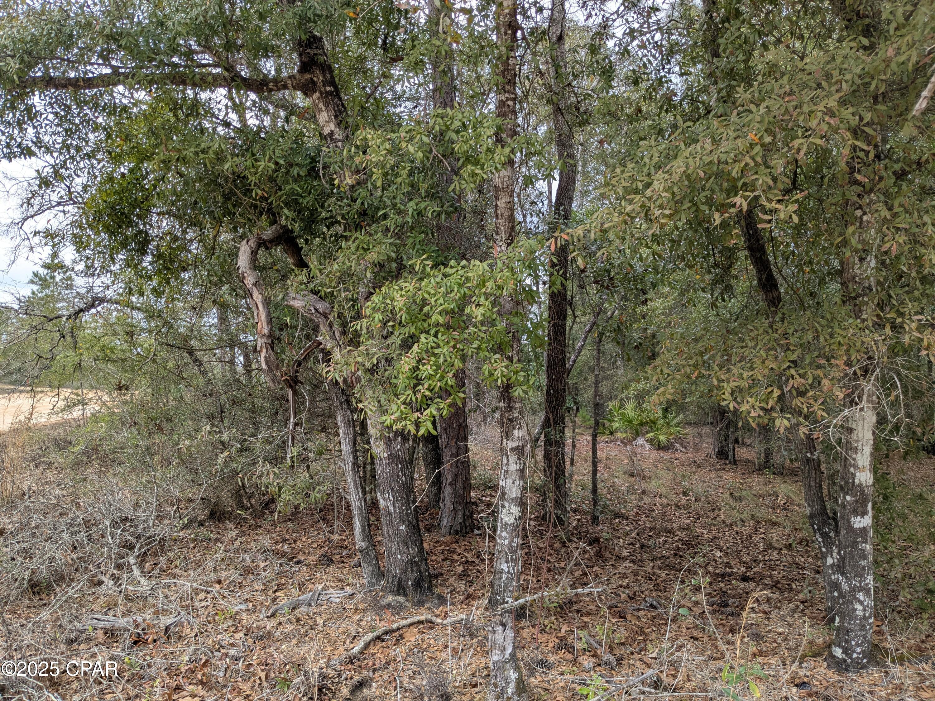 Yx5cnp7idzr Kg_pfb4crdkaoruejx5ues1su9zi2ig