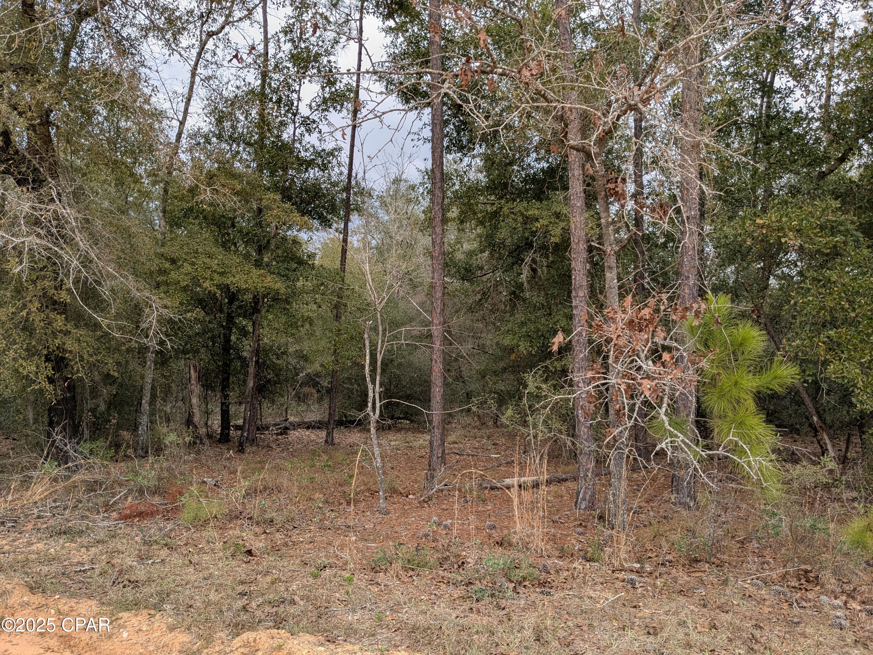 D0ts8fy9npeothm4tov_brjogf7zt1uhsa Xgkchoei