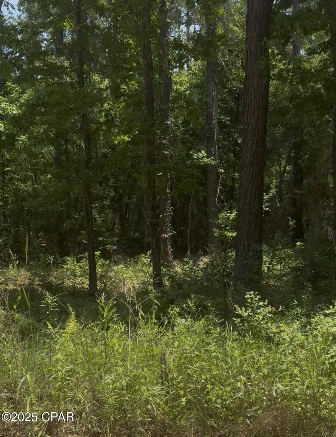 R3va0ajgd7wxvqsoaboh_gi_zdzkj73spqp_npgmexm