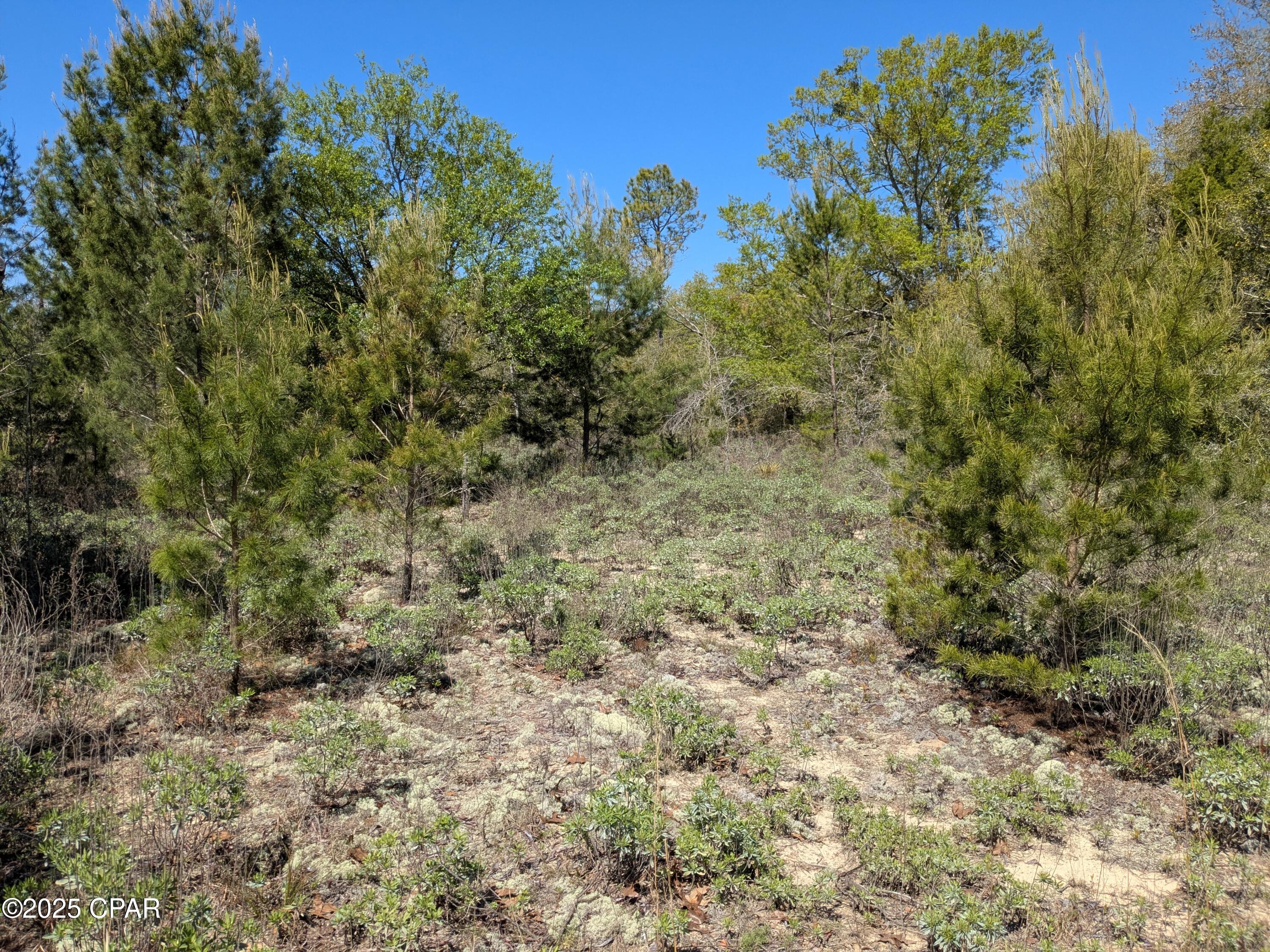 Pbhuov3ylmikrjkpm_qay2u Krjncib3lq1hewr4rfo