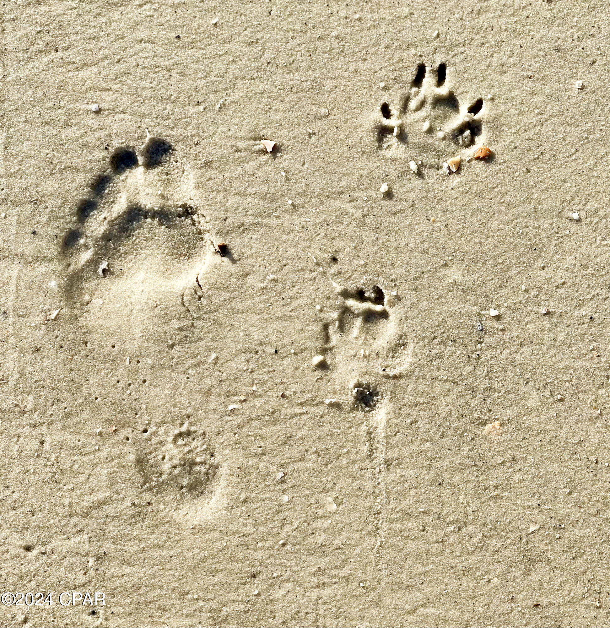 Image 42 For 320 Moonrise Avenue