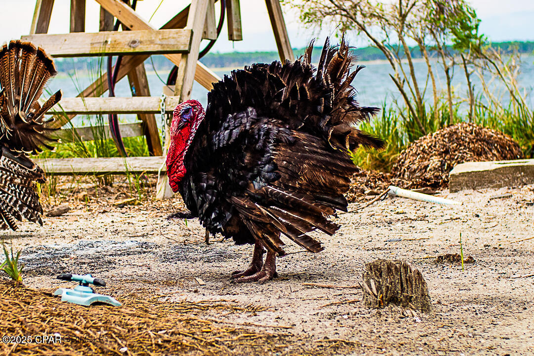 Ti4qi4ckze7b0riu6dxoge1uyogrrblq6sjqd09sx1c