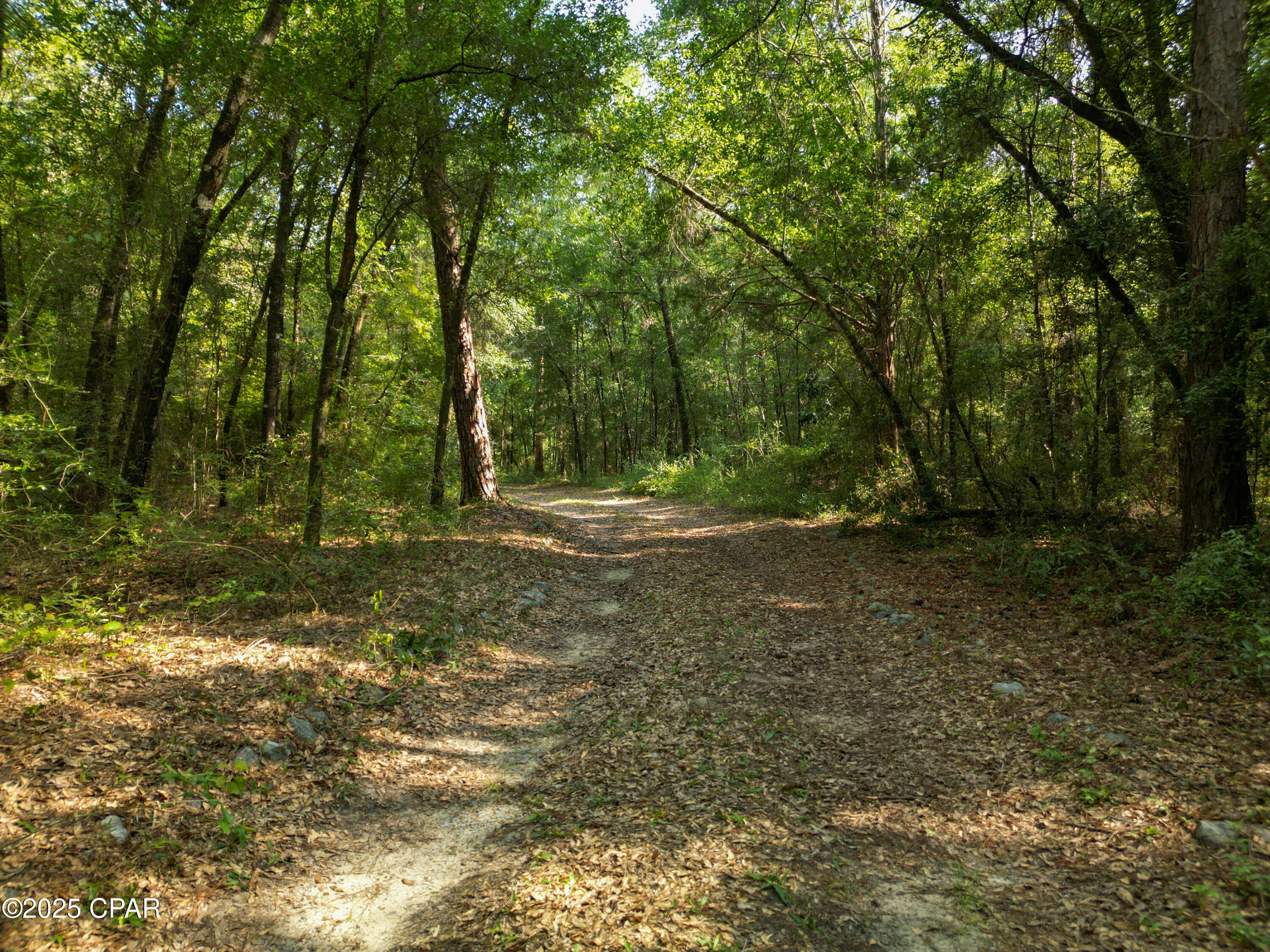 Jau_kmefgzadxoxerbh8 Stcjbo9azv8vpcughhsdly