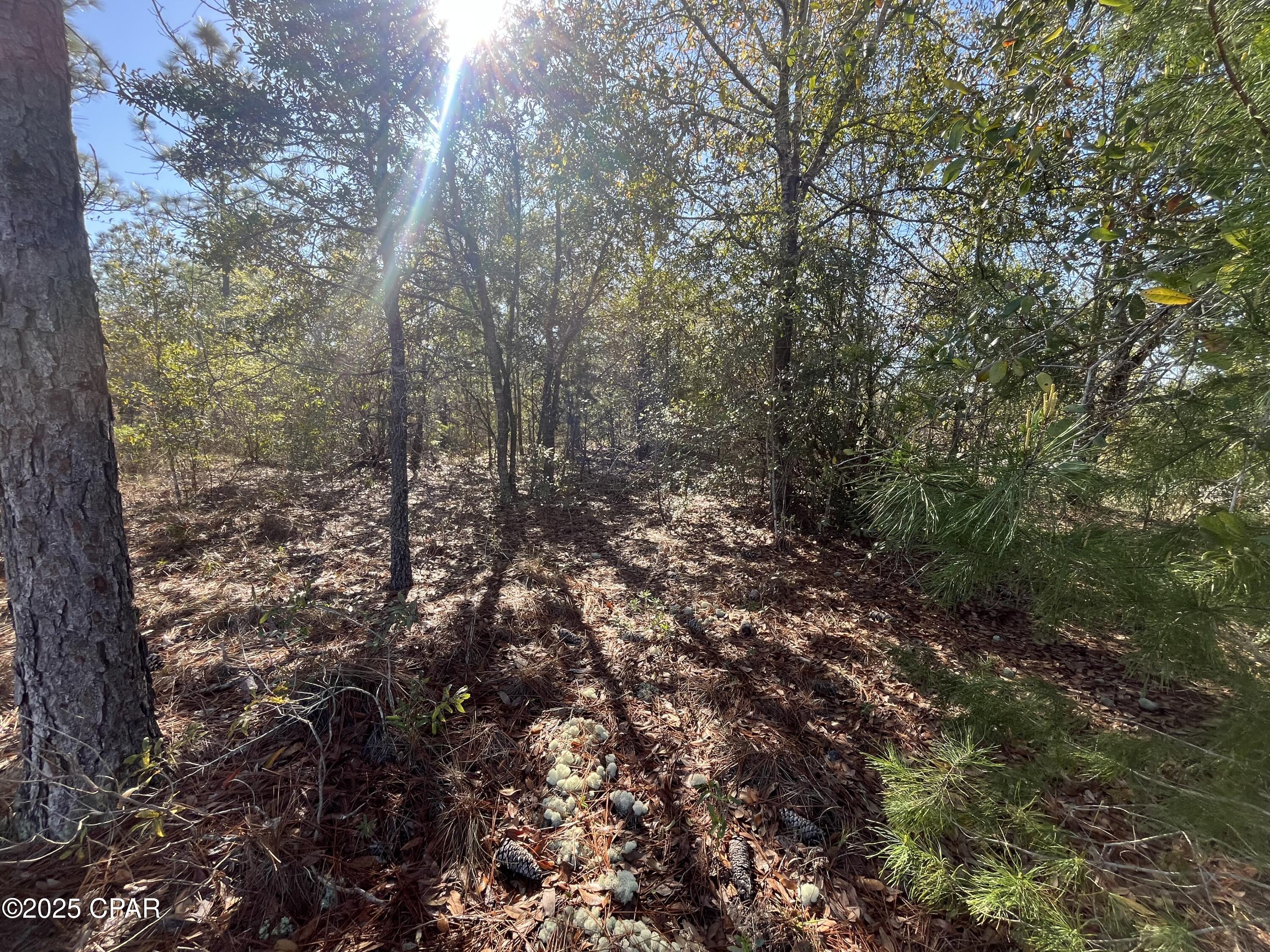 Lavuxxauahvpojwotpyfkn8btct4m_qpstfyxd1uqfc