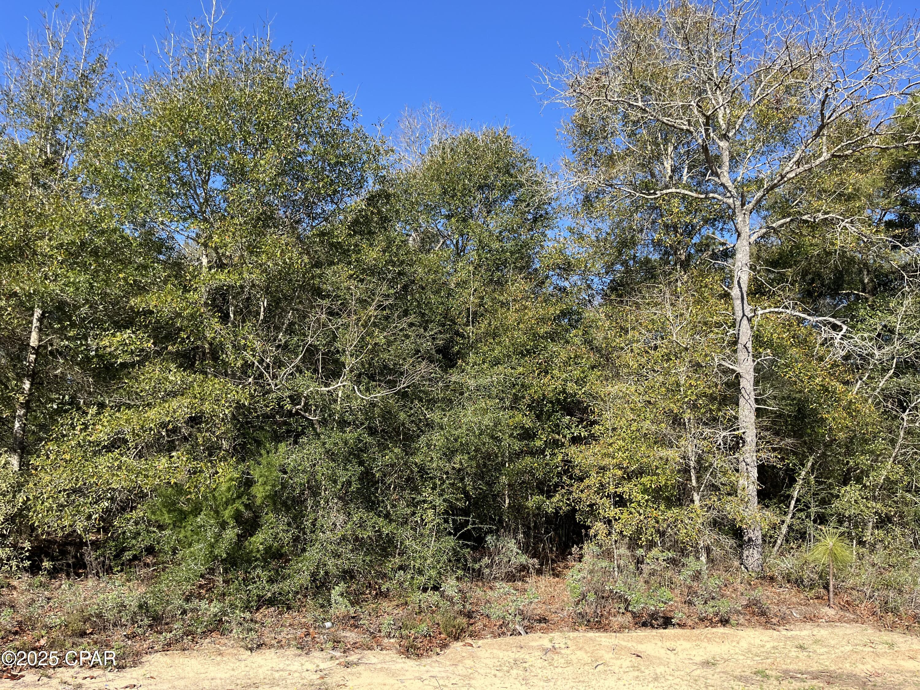 Image 4 For Lot 5 Viking Drive