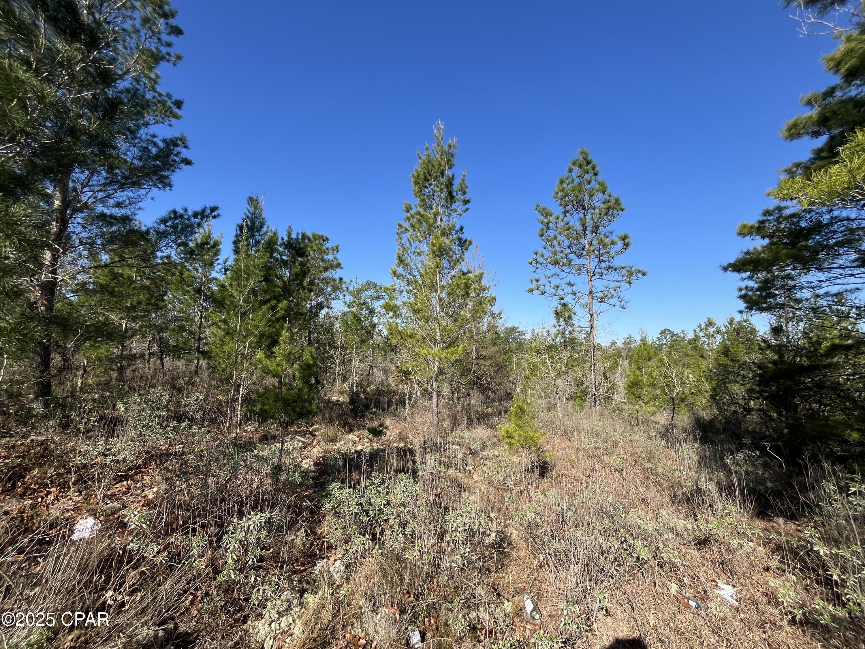 O E_v4z5uut19pi Vaz1odlm Q_ 6piwaog_z0q5enu