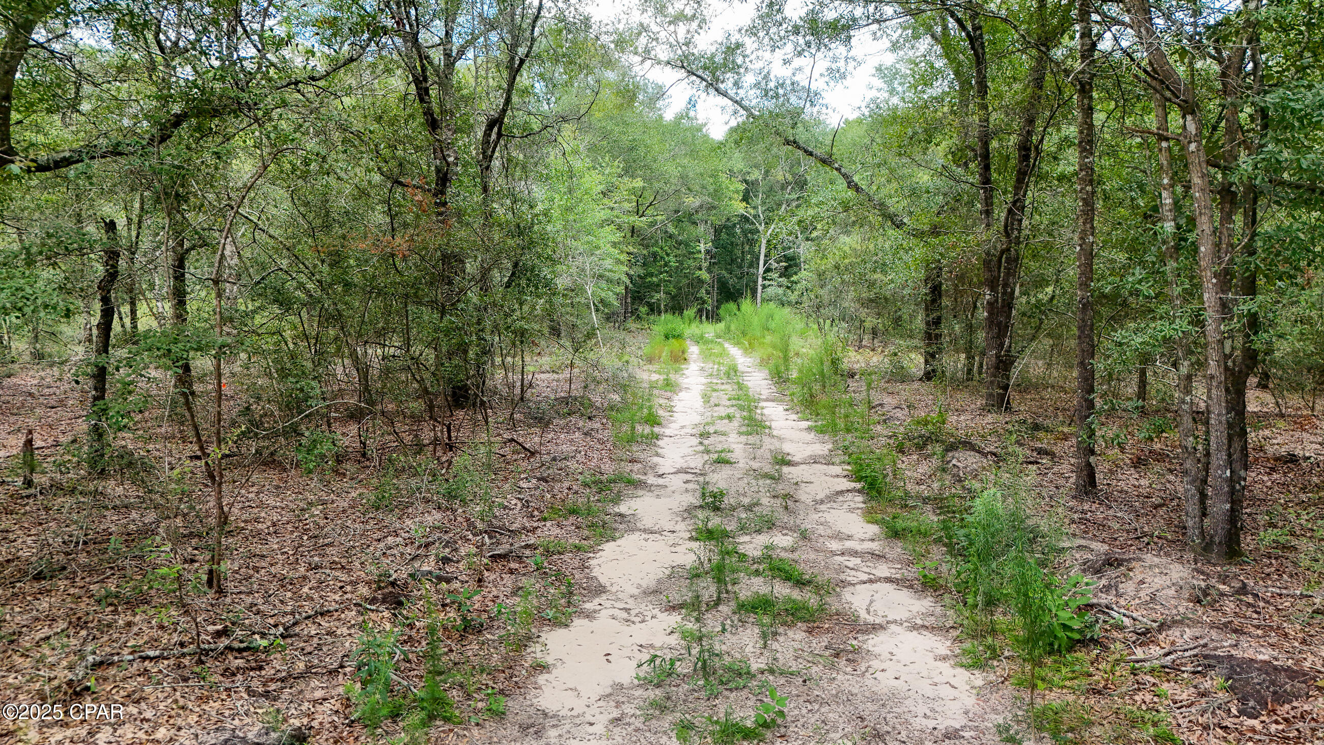 Fi2izy5d7hdb6ajr3bxqj7zmgmkzhkjb0bycfso0hs0