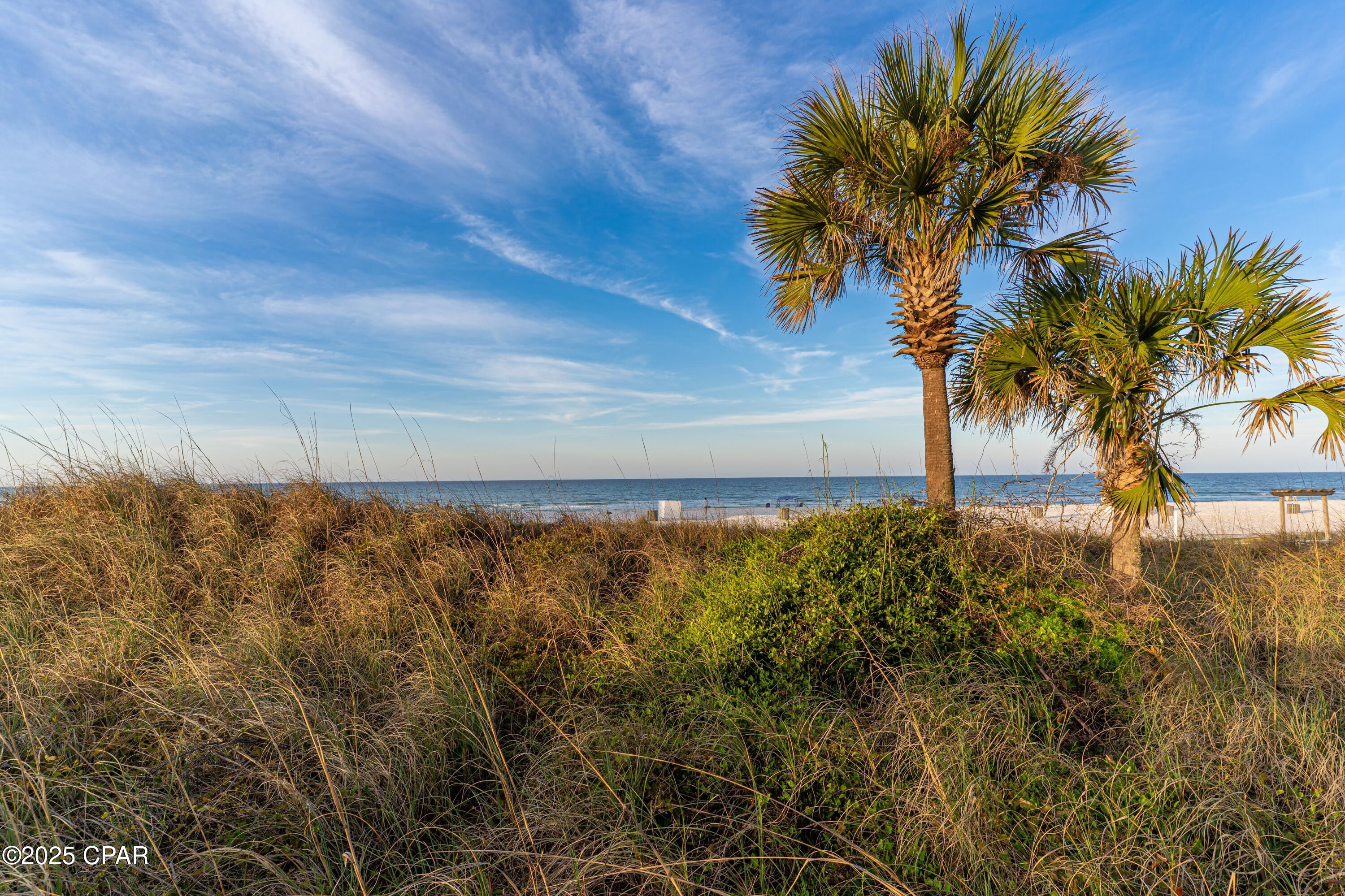 Image 49 For 520 Richard Jackson Boulevard 1104