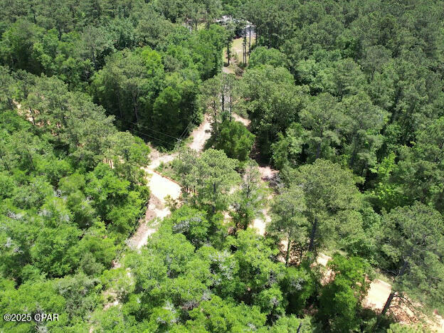 Image 7 For 2921 Ambus Lane