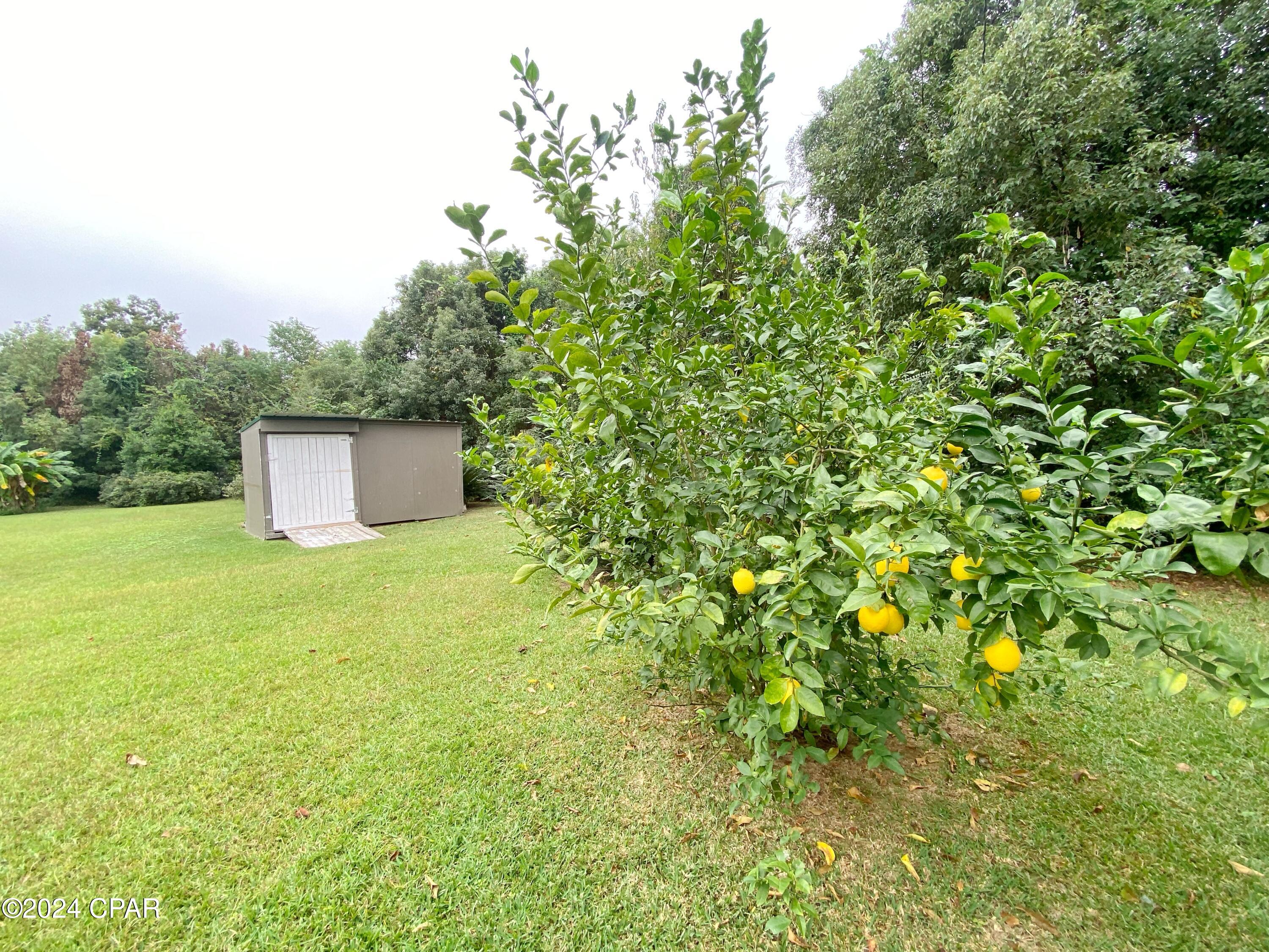 T8rsafi6d1bq1ovae6sff_lcmconpfqxjsxnbunblgg