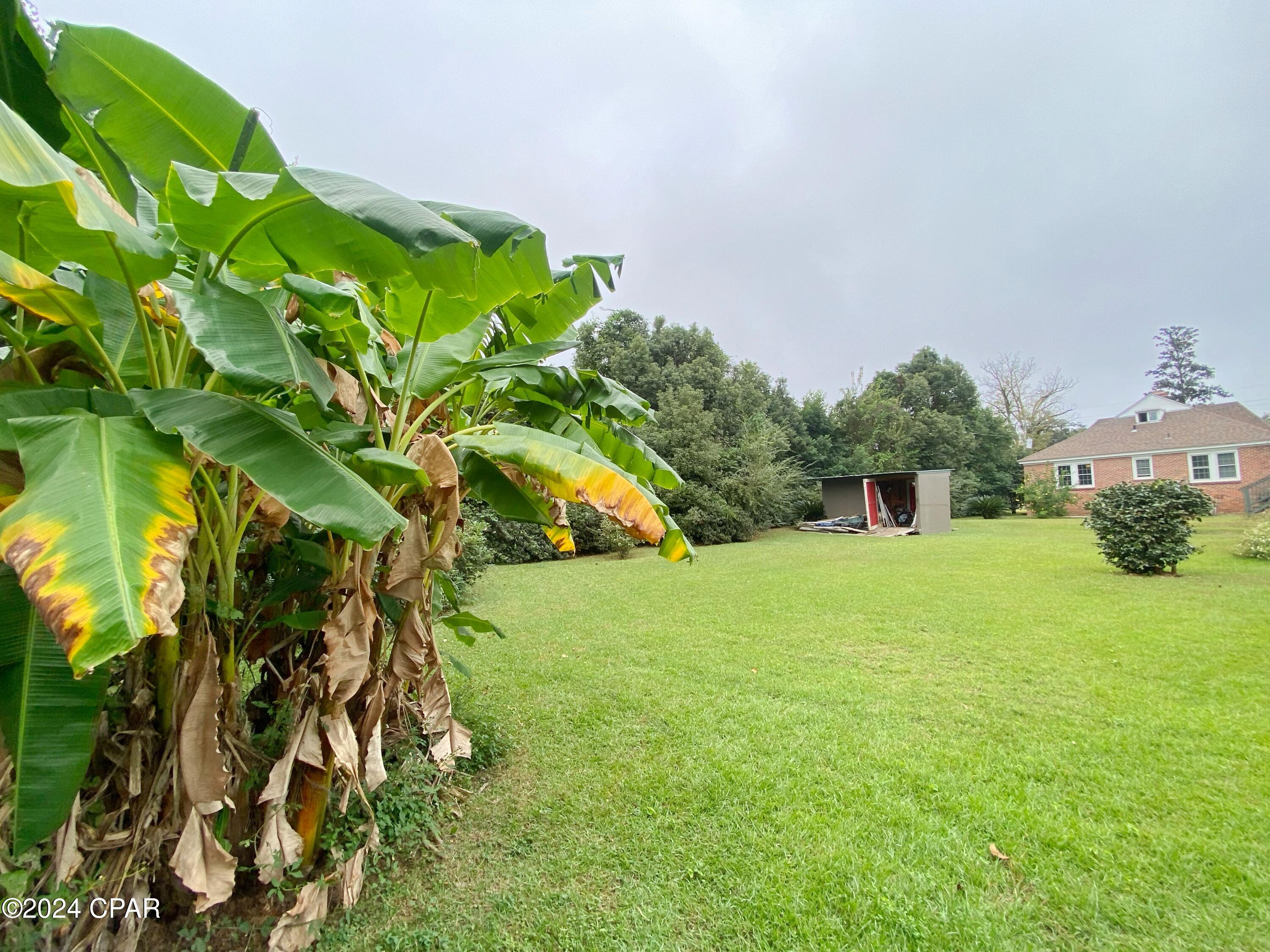 _gjusnffanire_y4izaafaovlobmmrss N3gu_6_z5w