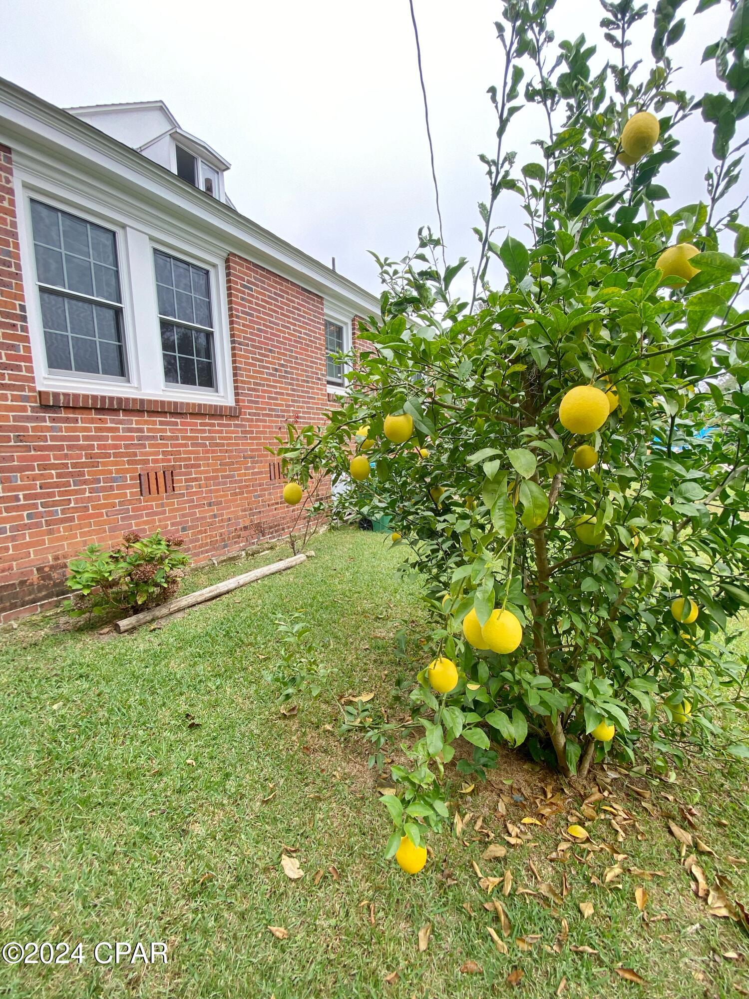 Vqb0vg0vz_f_mem5qrxuatuqig0fqxh17k3zq7g5tym