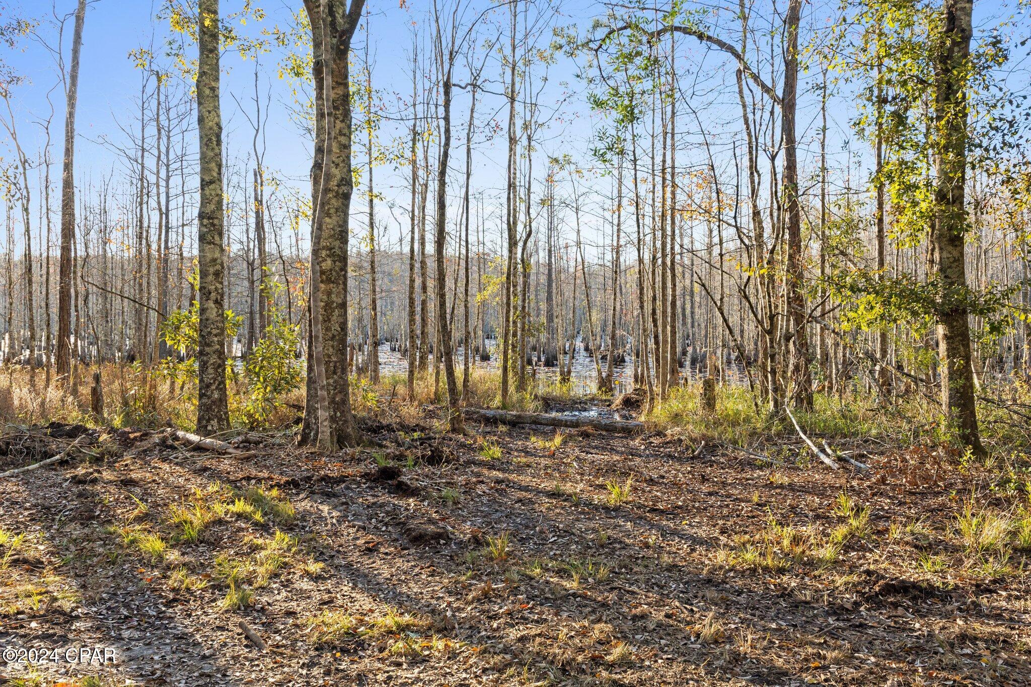 Gpxyeoliruqtumj11xb42nhzzwxhnllzq8bknfhjeea