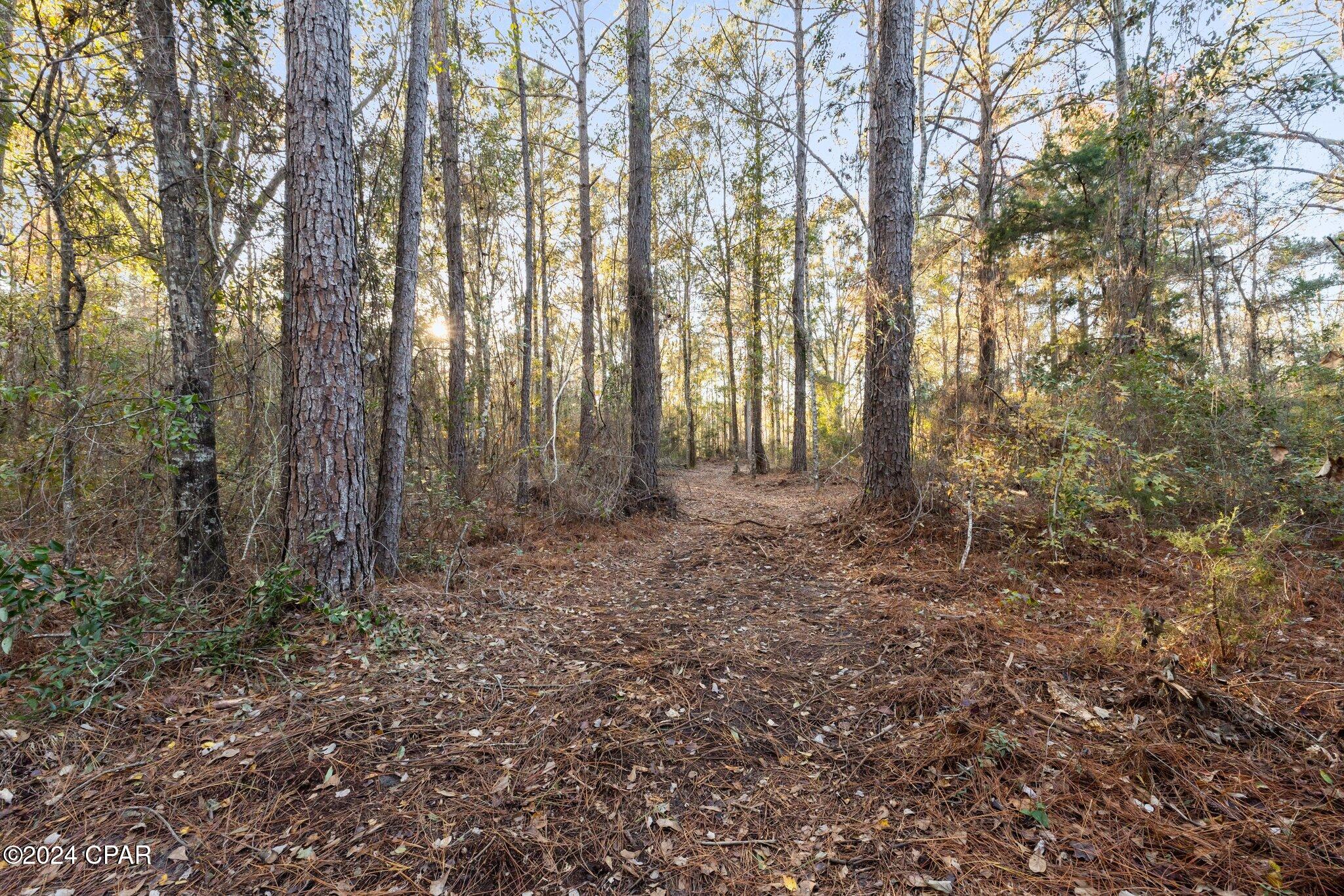 St5l3wo45pdyh36gaorbvz8olabqth_d6ymbycz4oqu