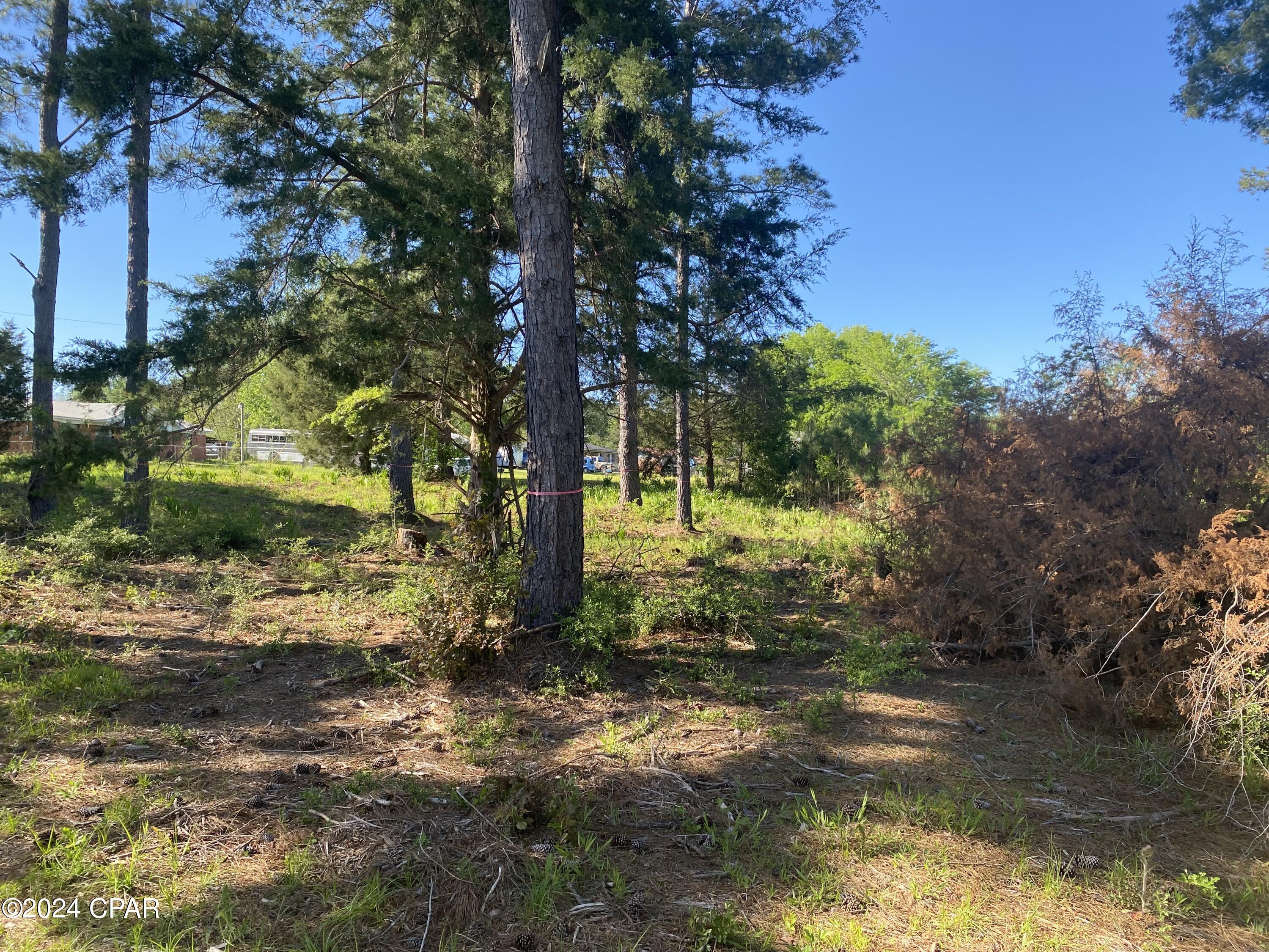 Zdguhd4bunrvsbewwpzecx7p5amytpjhxovxholv_rg