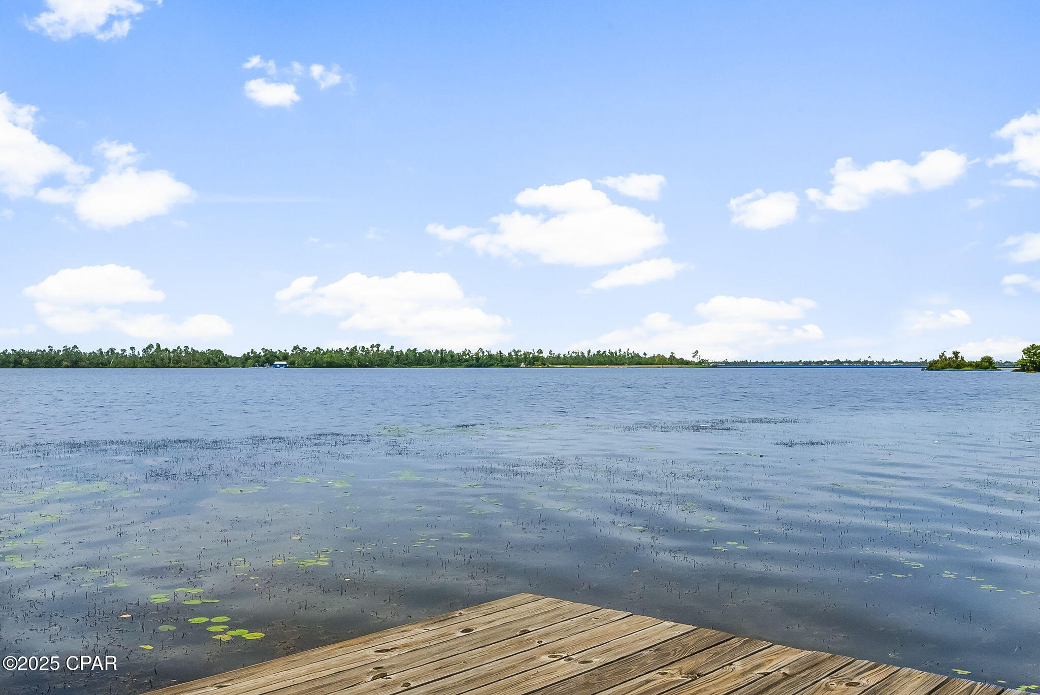 Pambporxqq0r Rpgqosbocxus Qnsnyph9u5qxrualc