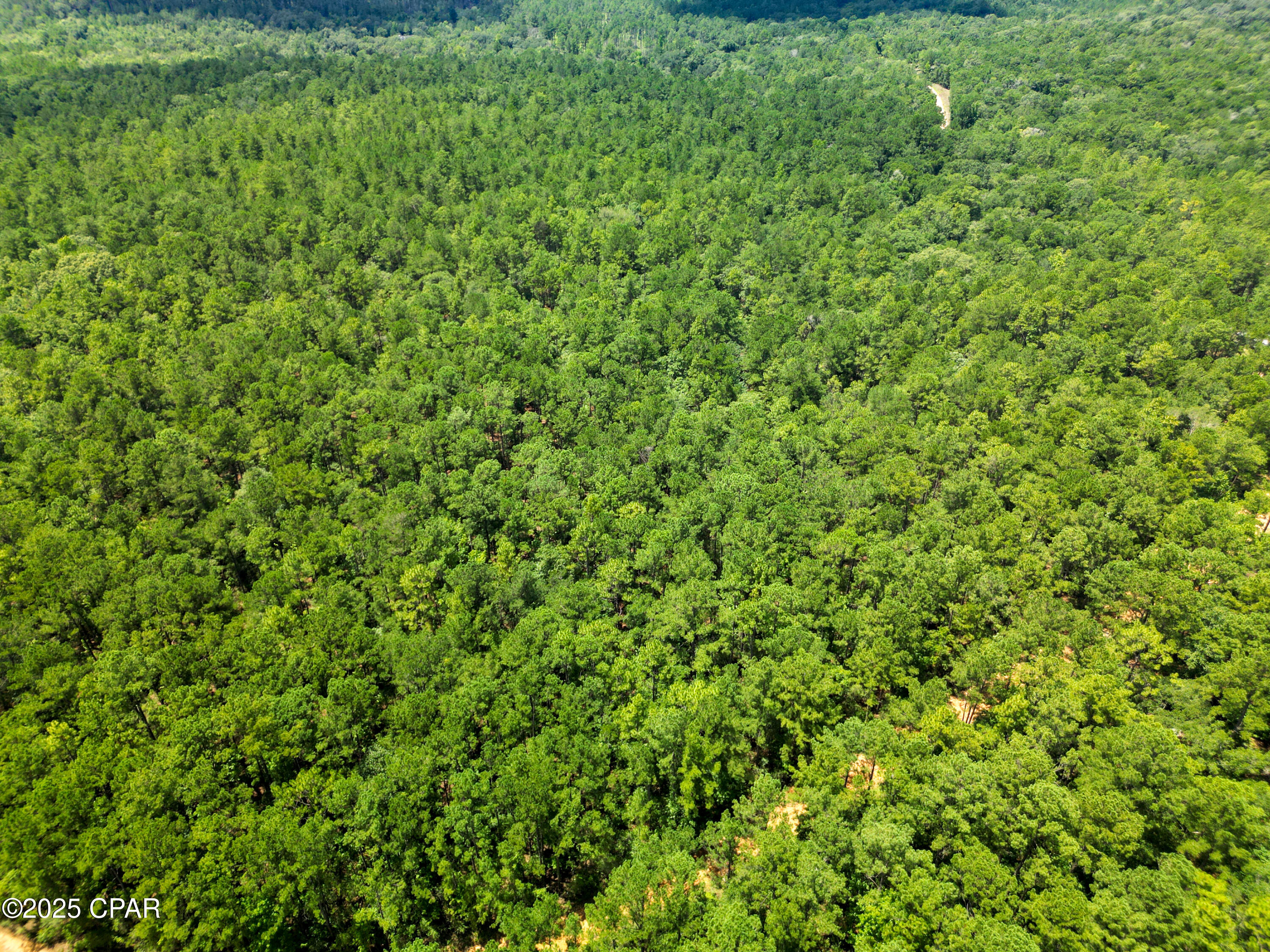 Image 6 For Tbd Creek Run Road