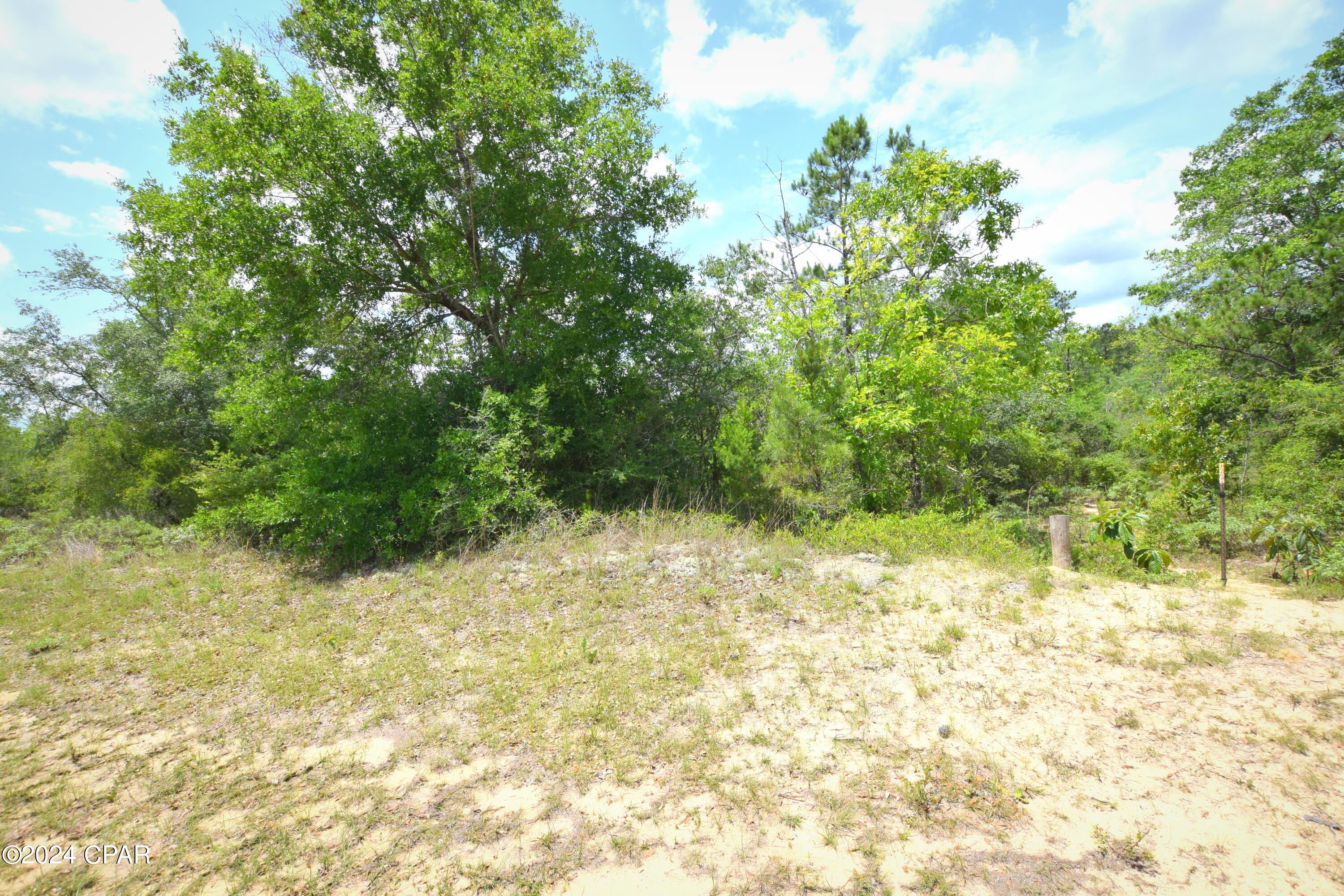 Image 3 For Tbd Lot 40 Bluestone Drive