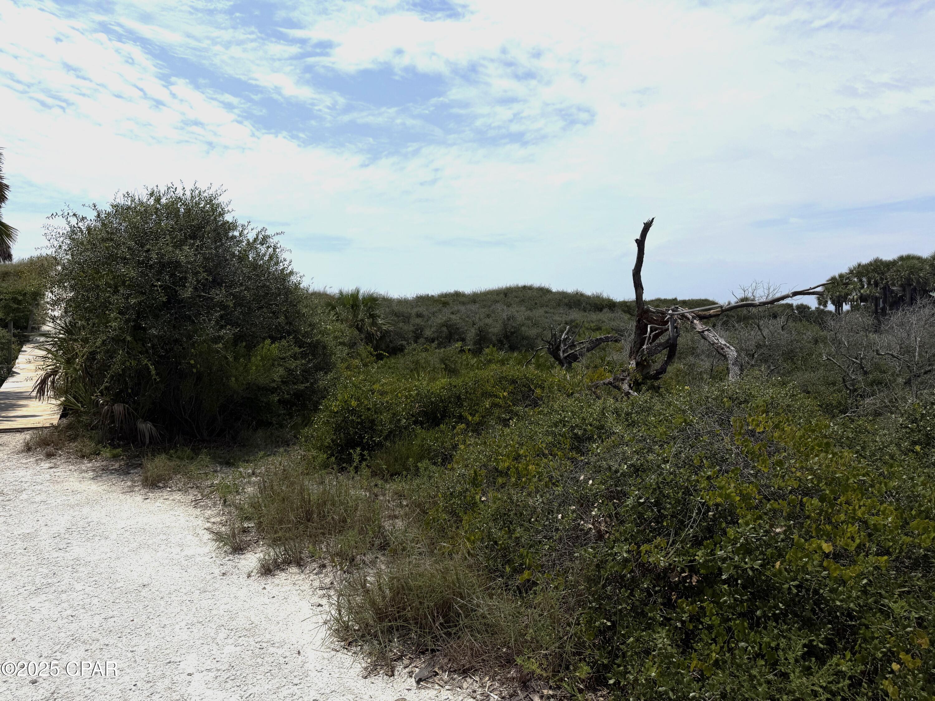 Pvdcdzhvu9vcdmat1zzxenojcly88aqofol5ejp2gou