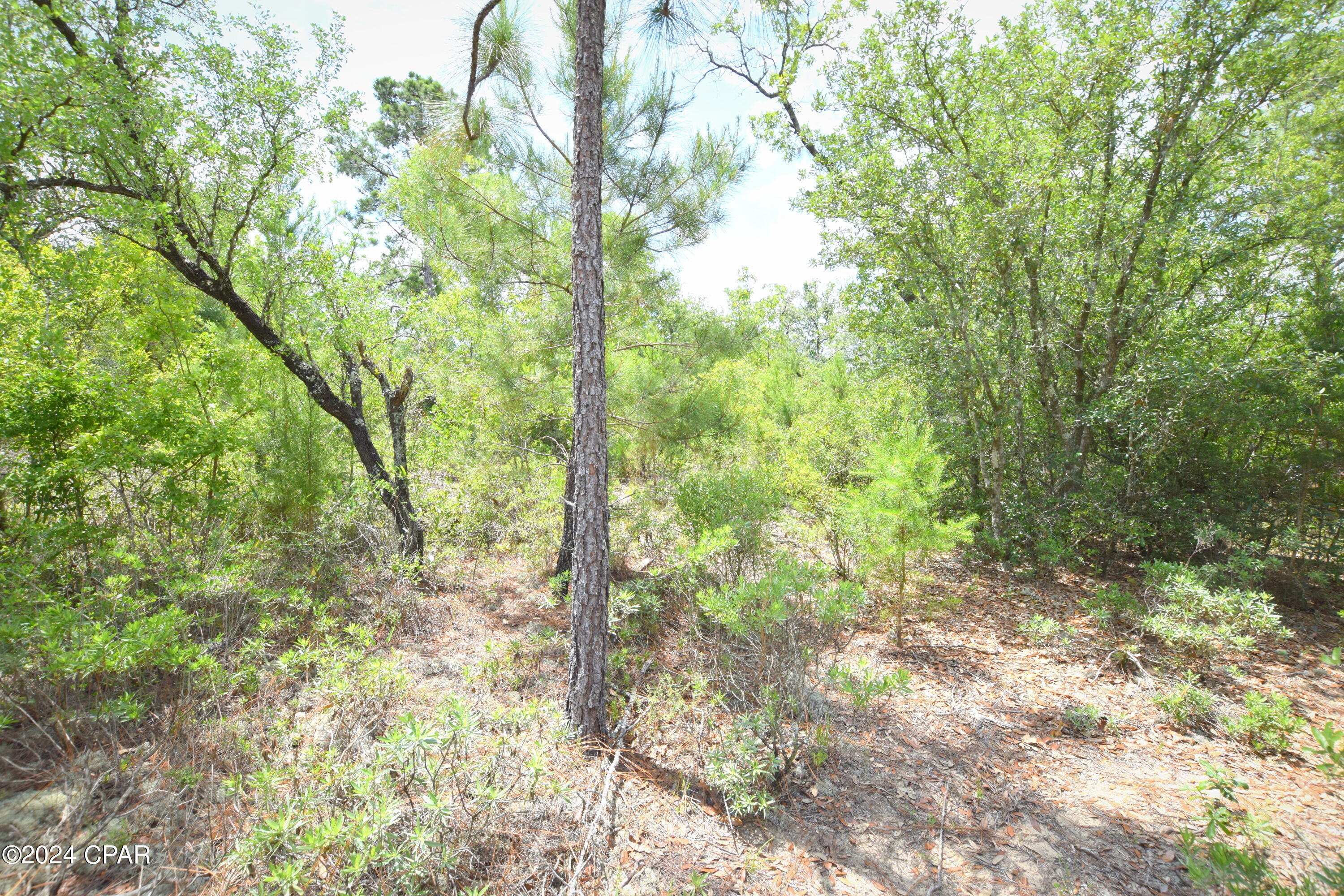 19upj5bgtiiistbxgaipxajalq81gmm3_7tp5sdxzkk