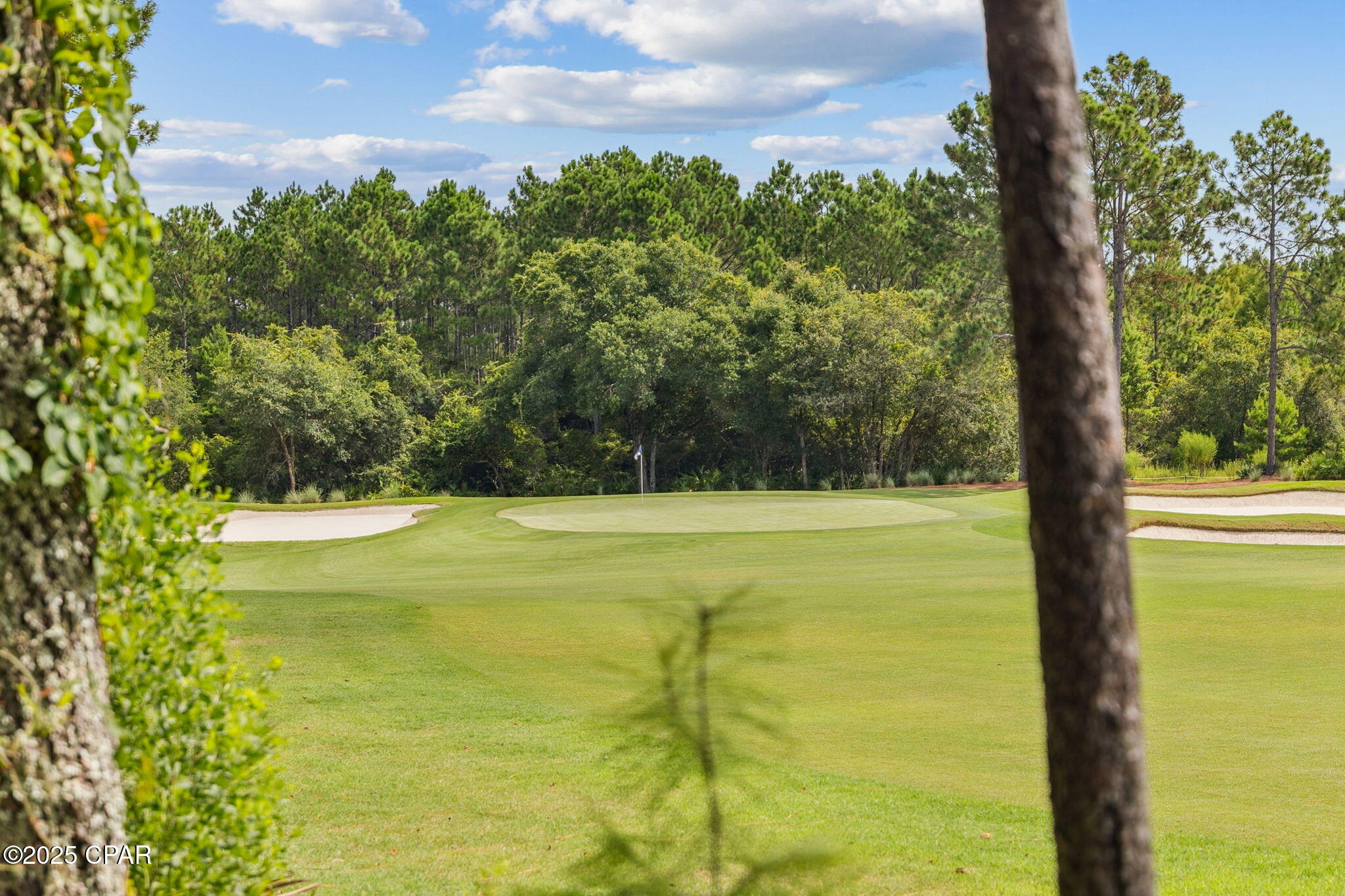 Wzanwzgahrsrvypxq3iibn1srunyofk6cxi4yye_dfc