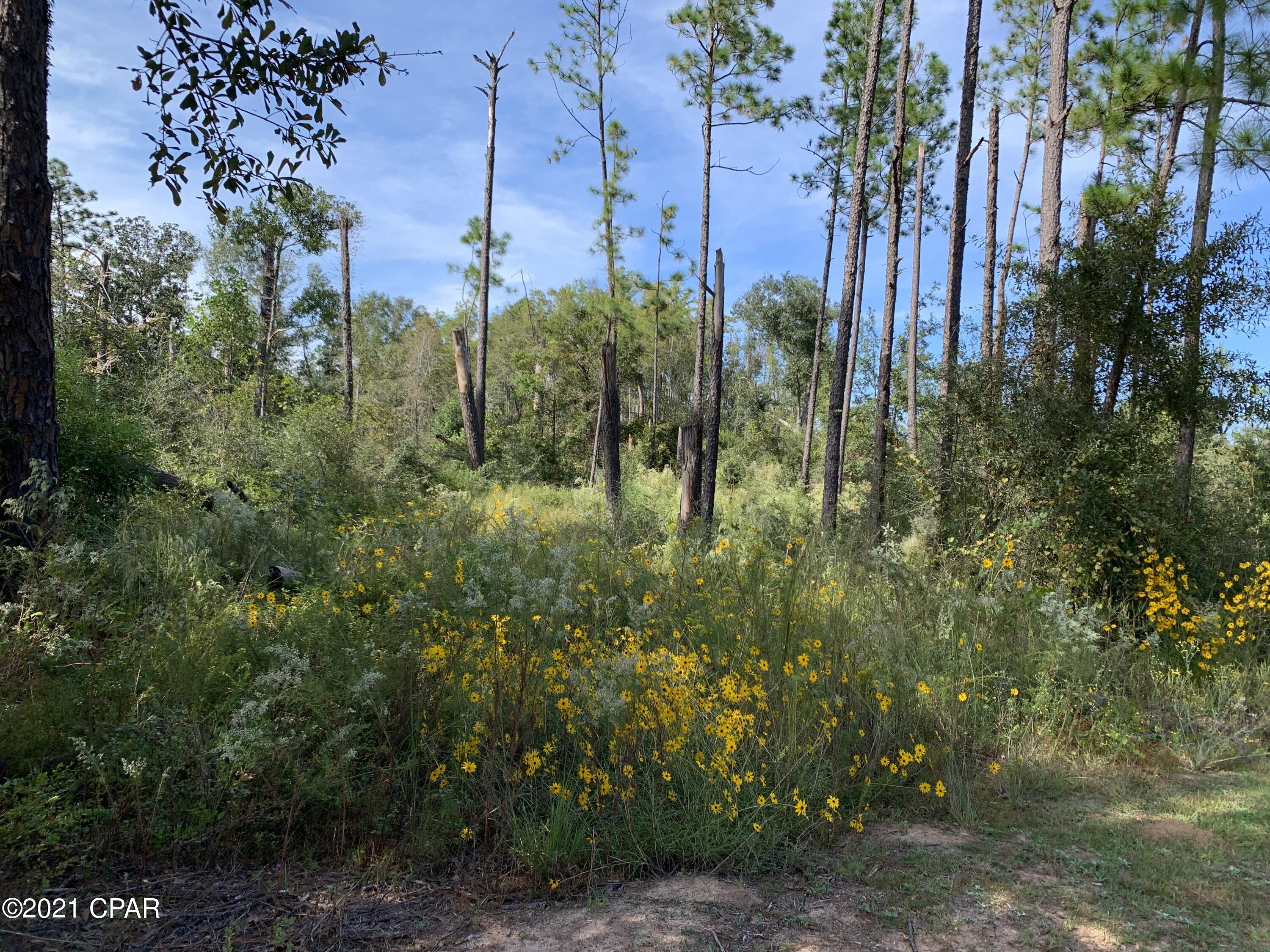 Hj4gpuwechob_yf Bcrn1bldodcbmmihlqzeasjaodc