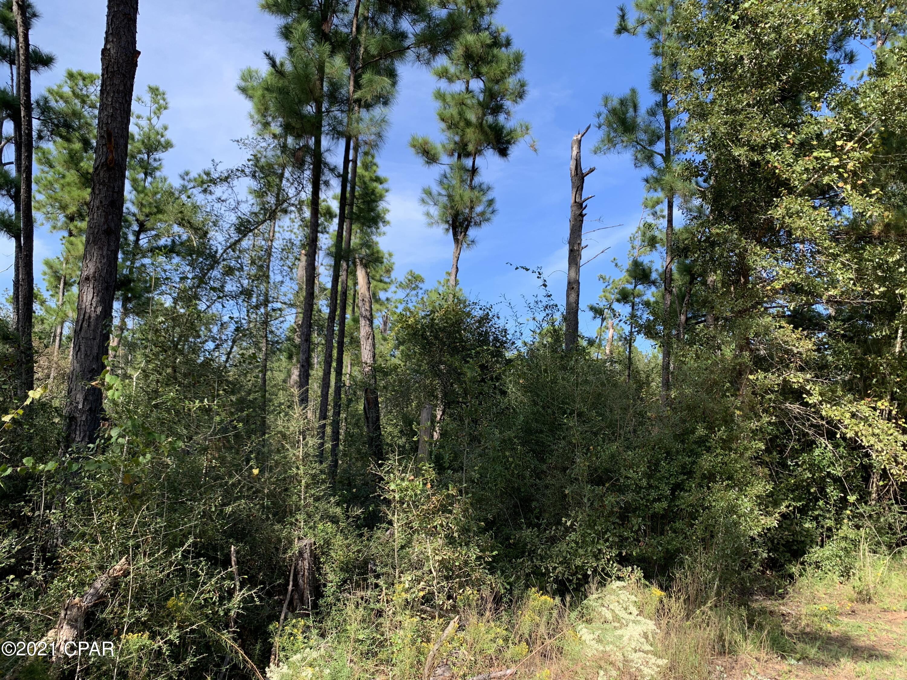 5lf_mhxrw0847dsqu2e1csz58zwpjklwgmxjrjf9cty