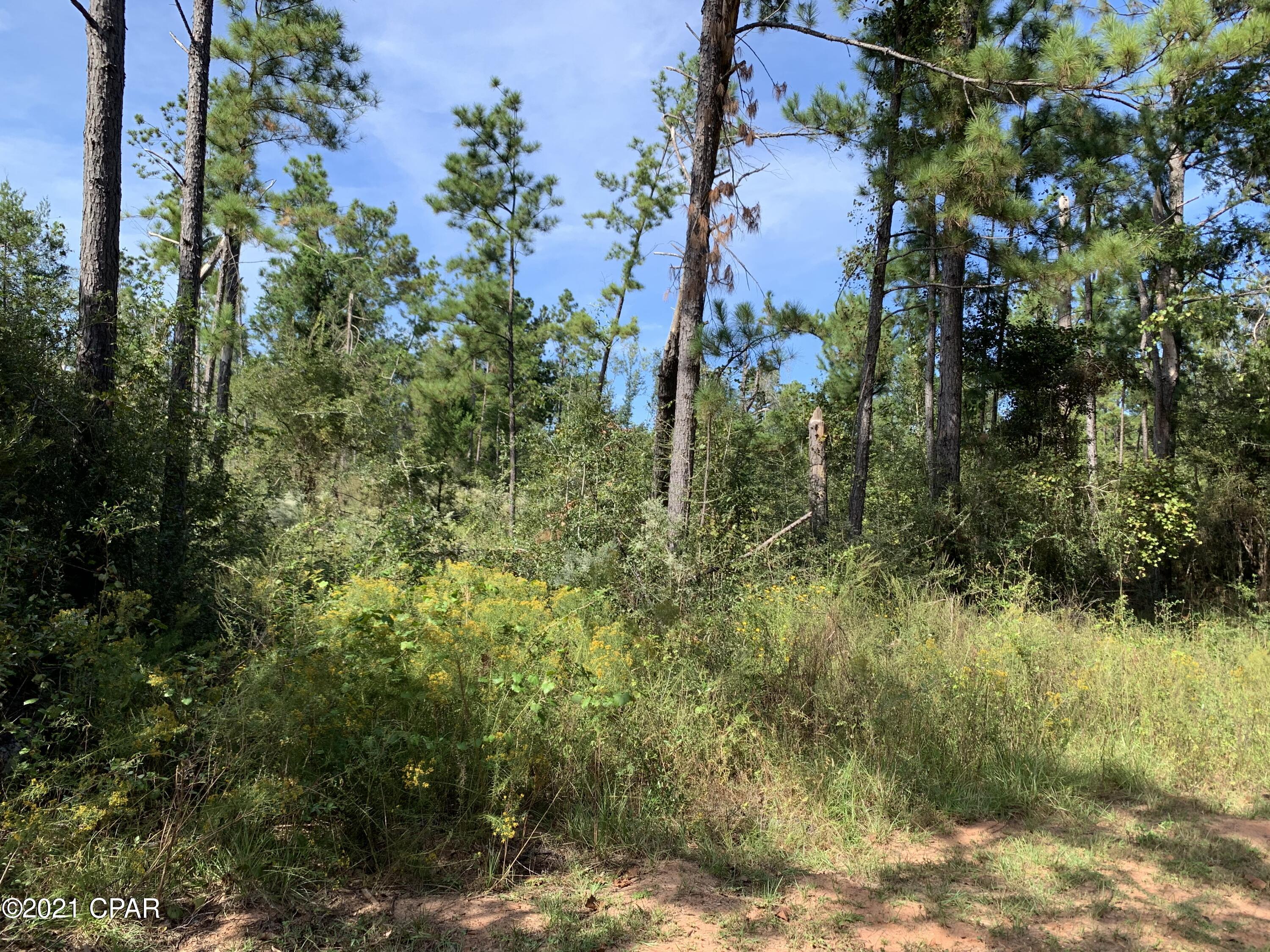 0s_n64gsazbnm9g9371e4rnprdatygvczlu3d Lyvg8