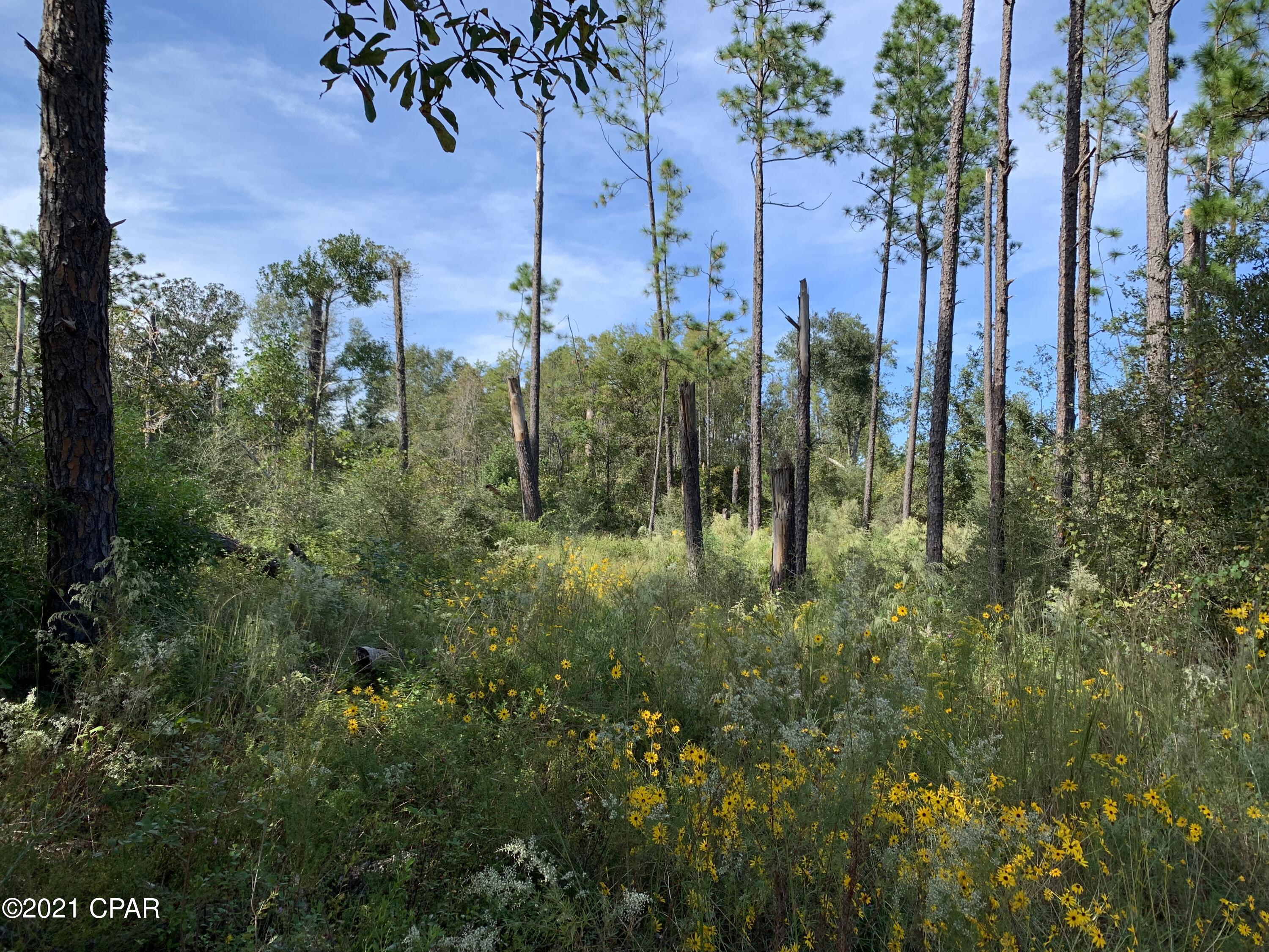 Ameqns8cnyxibztkxipwypdtaexalpekgpg2ryu Ntg