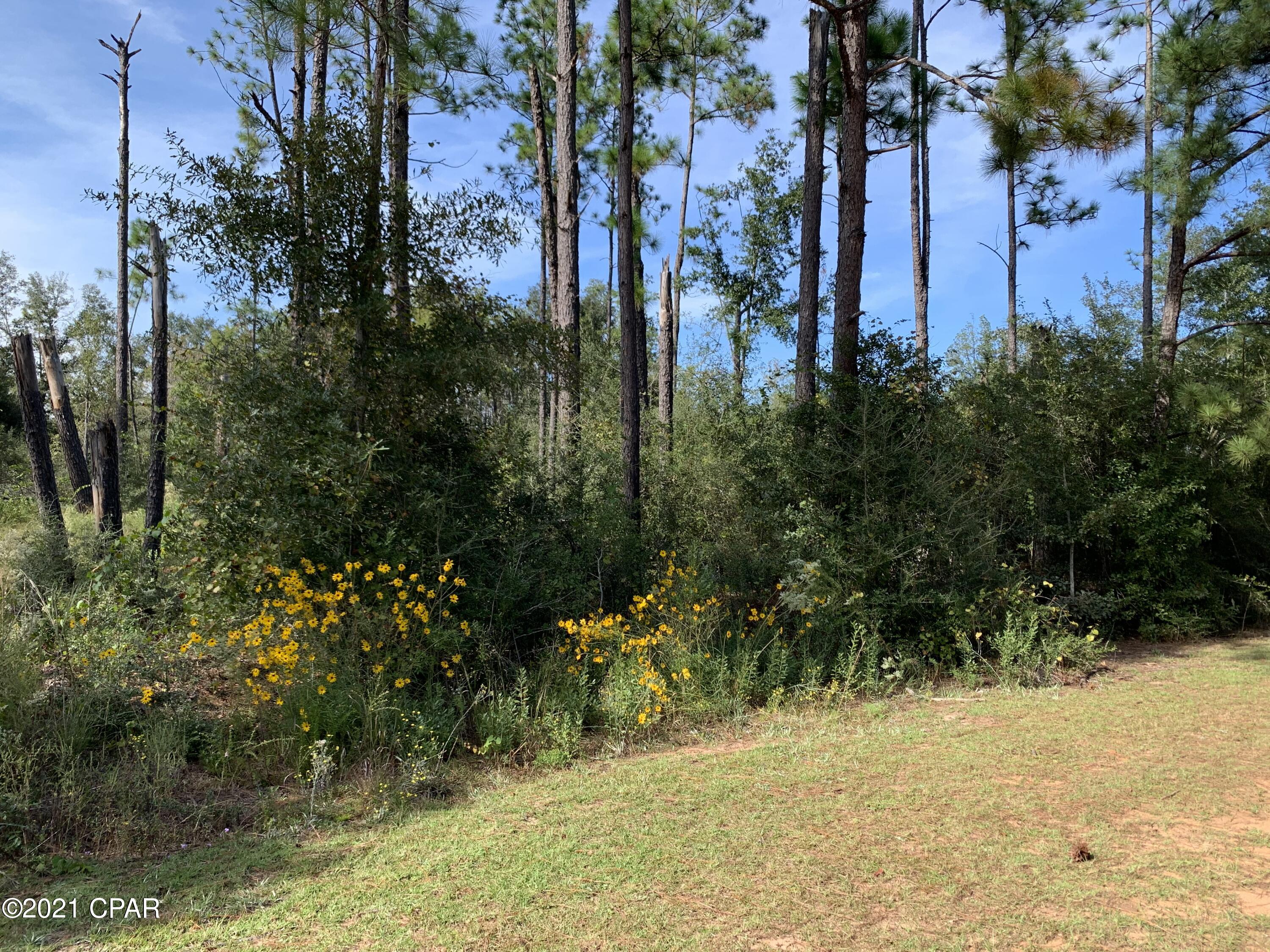 3yrnfcewttvgc_yin Prk Ua8rtiipumays2mnc_ts0