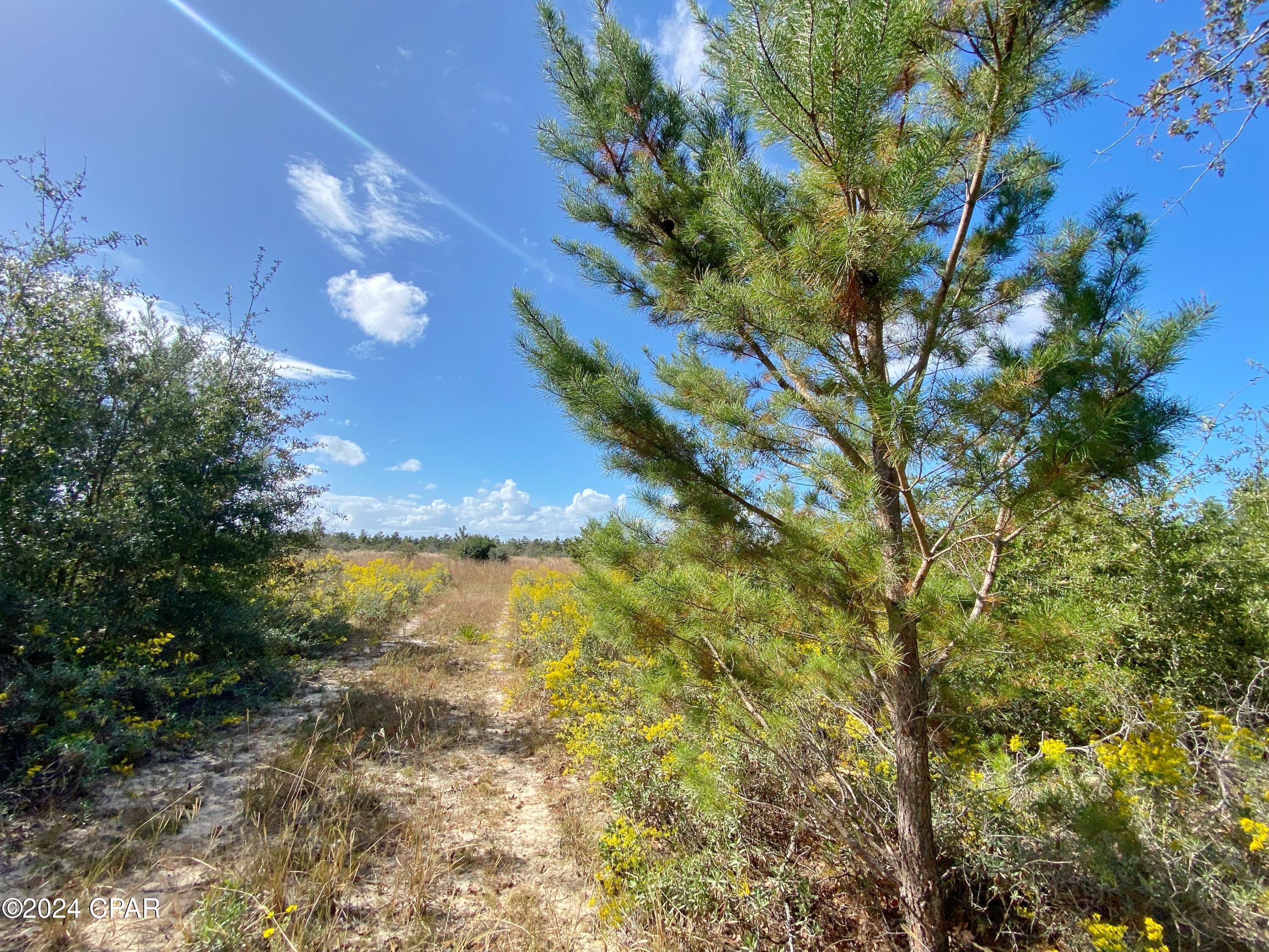 Qapnp0nrgns2gqwkkoiaqze7dfsragqxdzyqemzz6x8