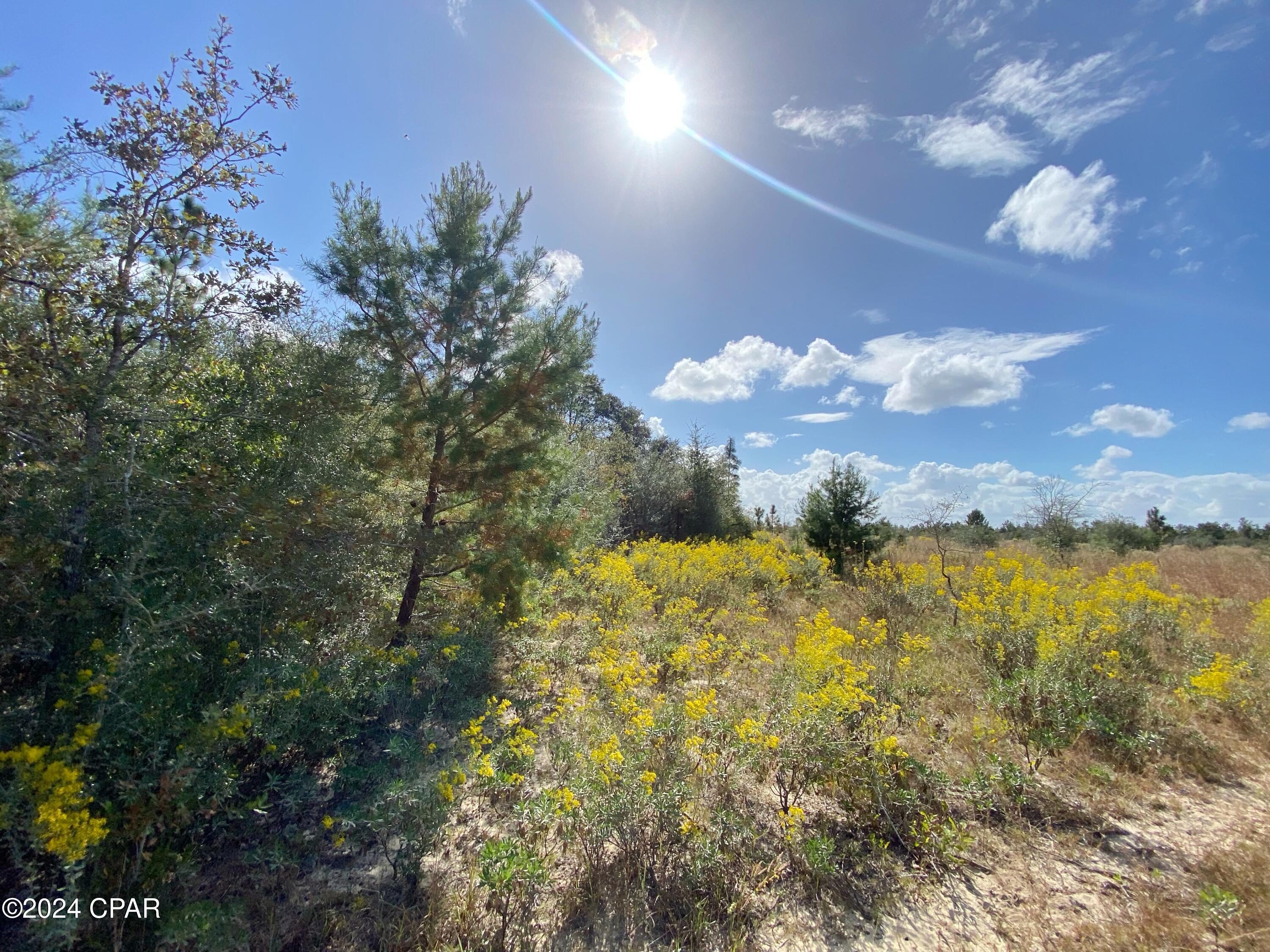 S4pypseamsxbwfafci2asdhep6ojhyrsvatxqlzxnjg