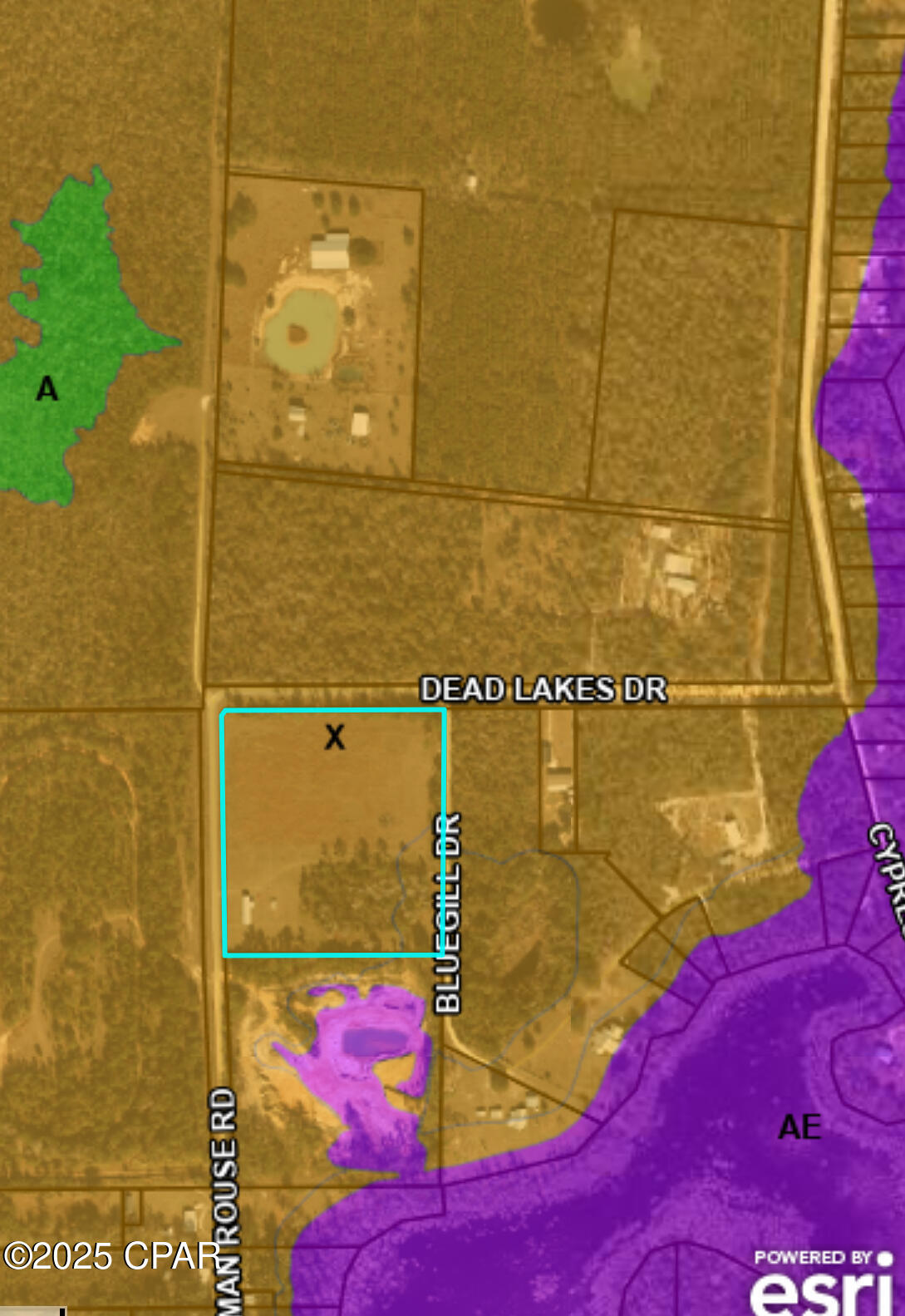 Image 26 For 320 Freeman Rouse Road